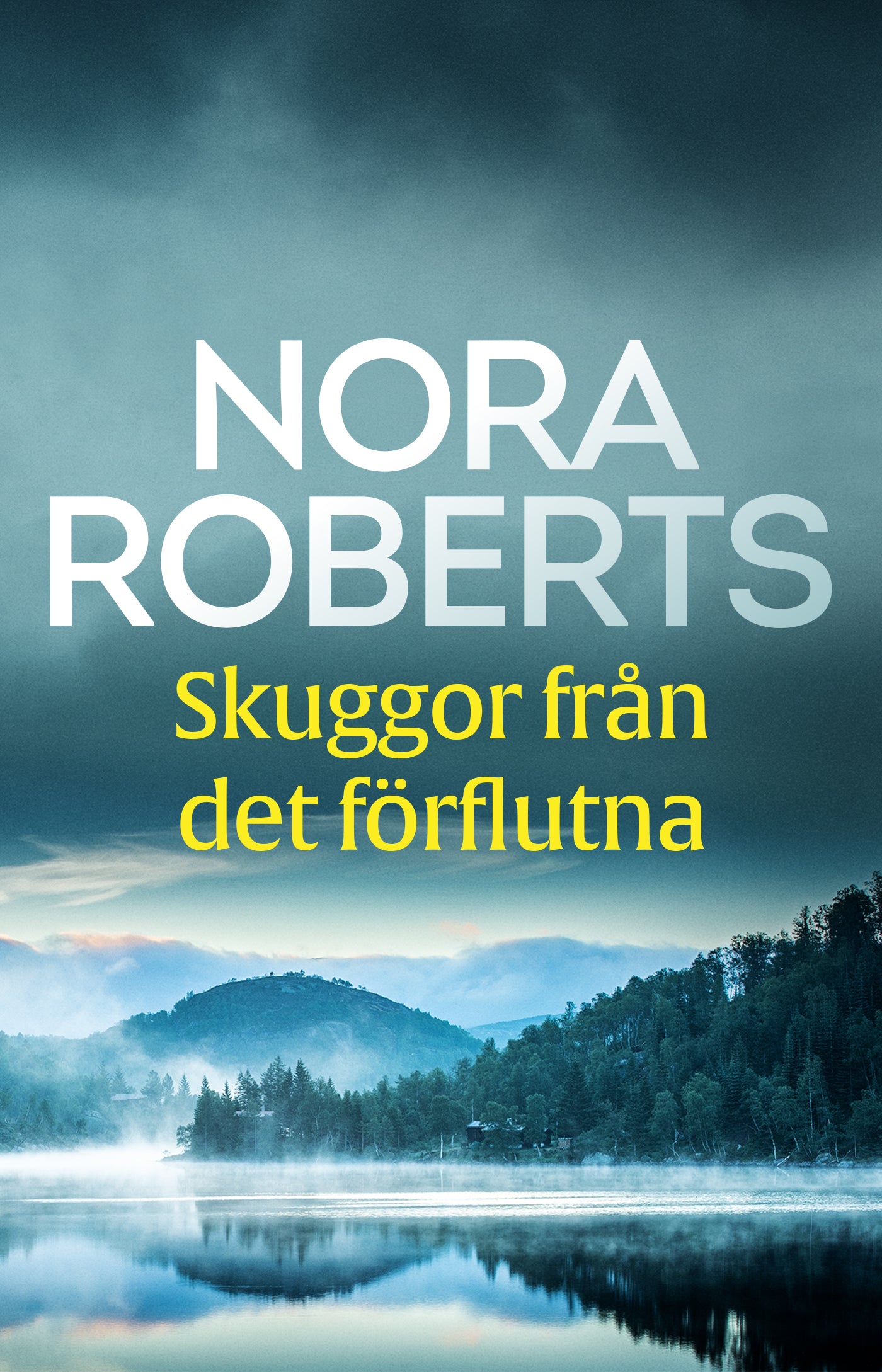 Skuggor från det förflutna – E-bok