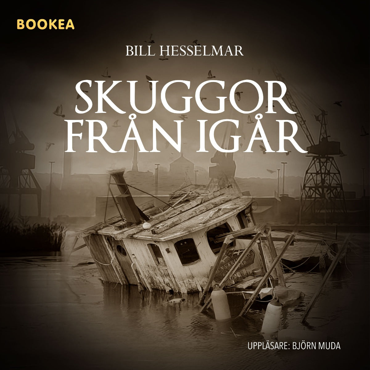 Skuggor från igår – Ljudbok