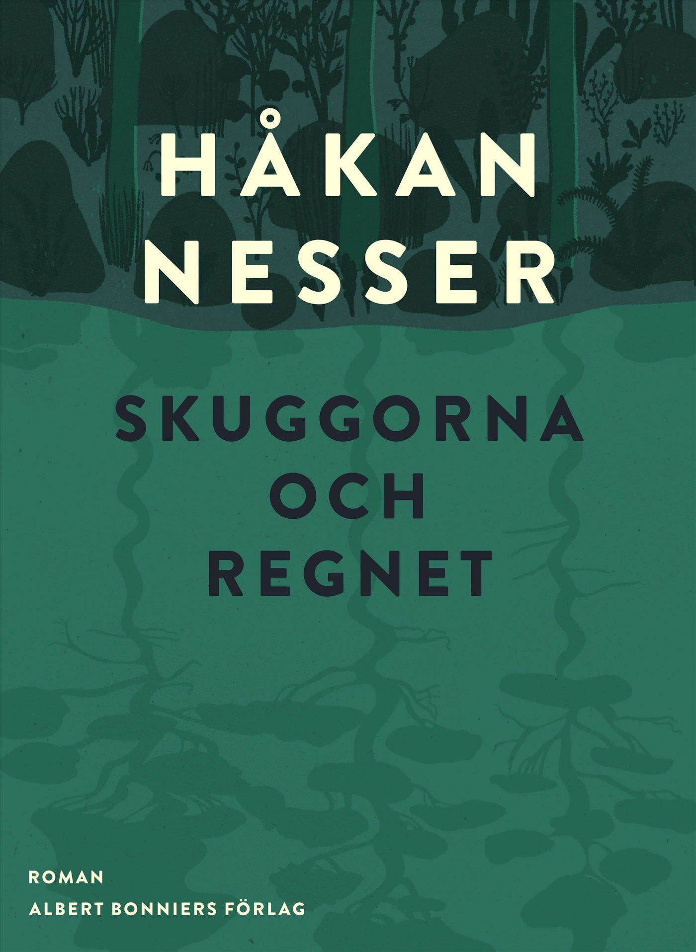 Skuggorna och regnet – E-bok