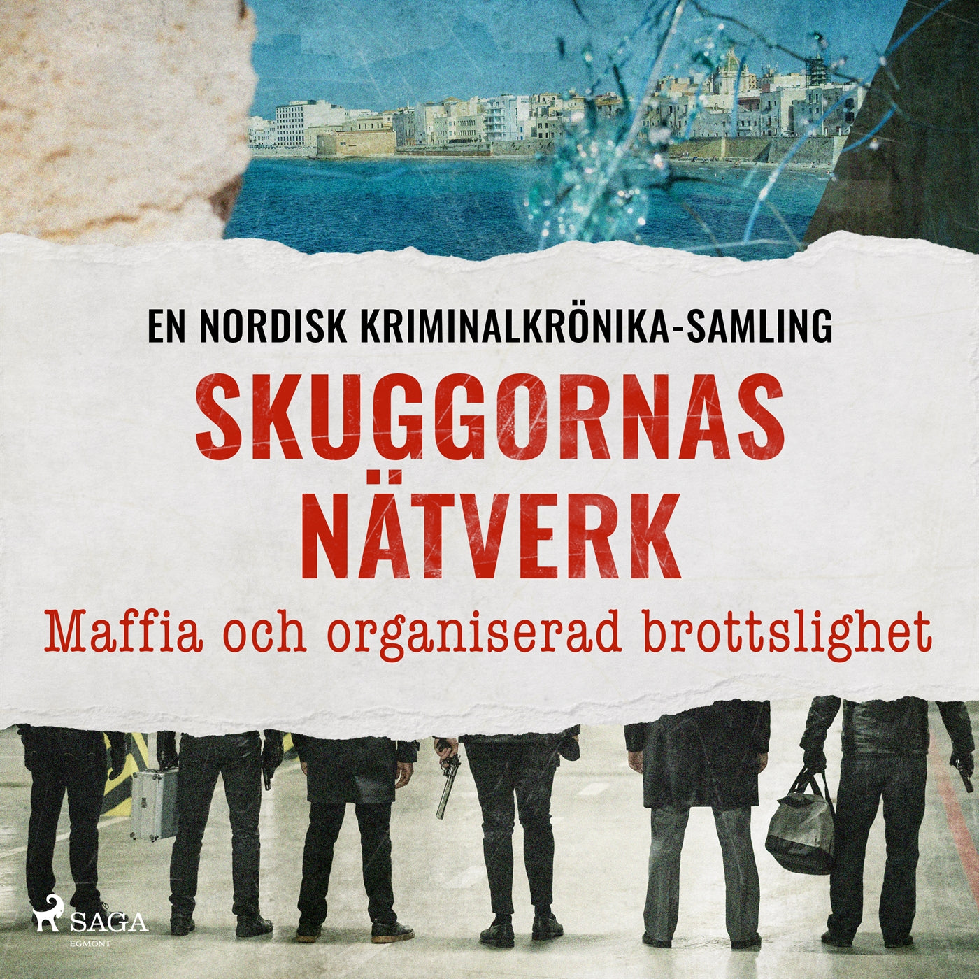 Skuggornas nätverk – Maffia och organiserad brottslighet – Ljudbok