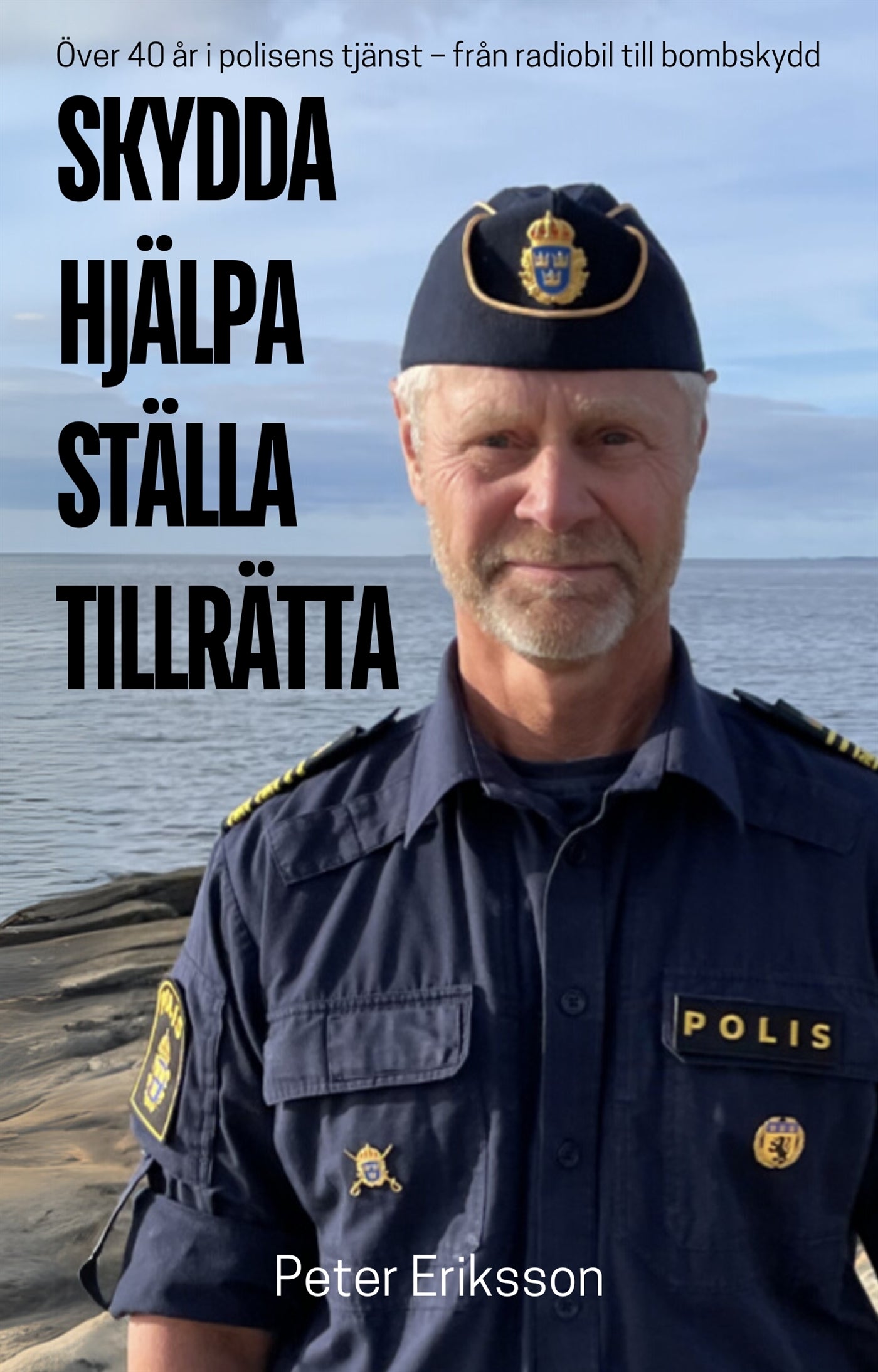 Skydda, hjälpa, ställa tillrätta – E-bok