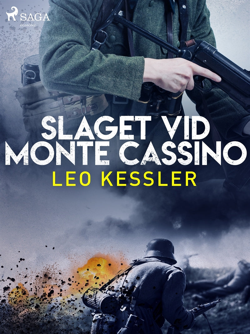 Slaget vid Monte Cassino – E-bok