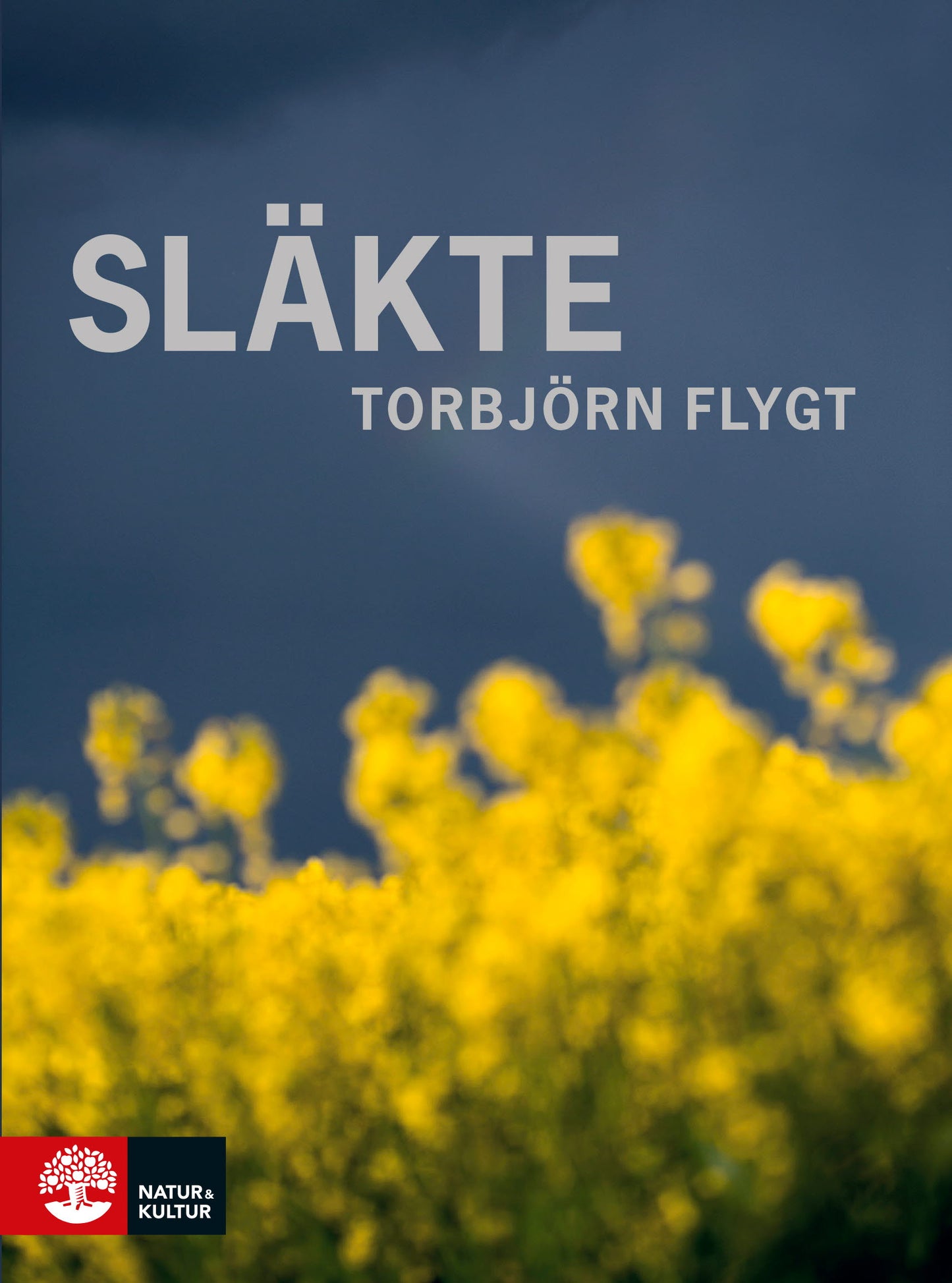 Släkte – E-bok