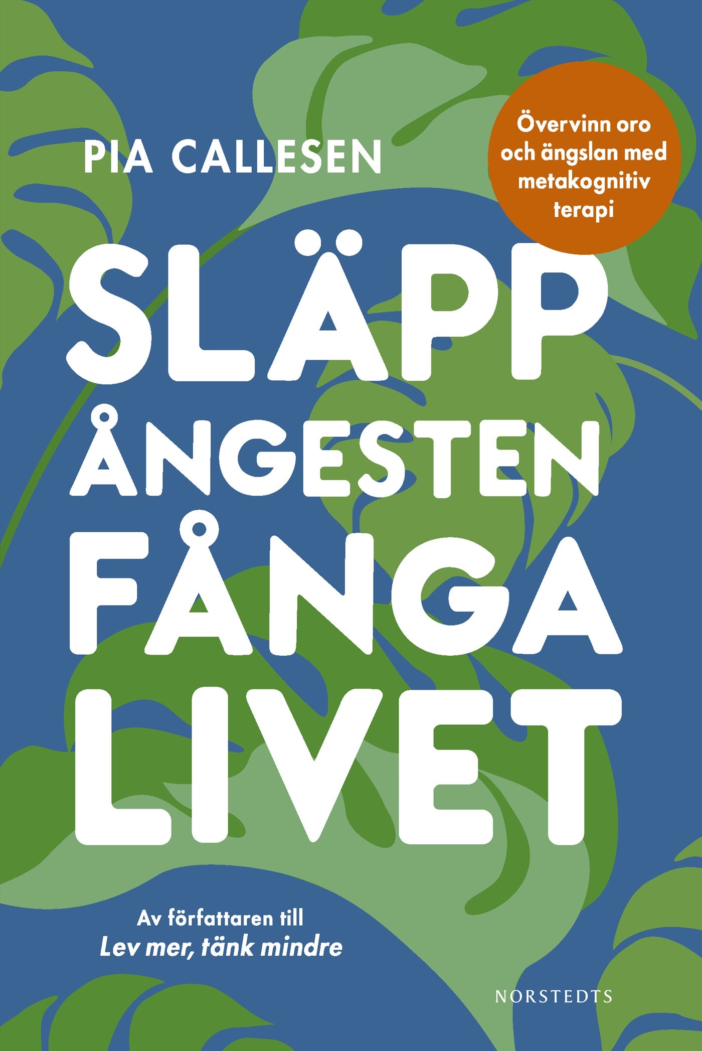 Släpp ångesten, fånga livet : övervinn oro och ängslan med metakognitiv terapi – E-bok
