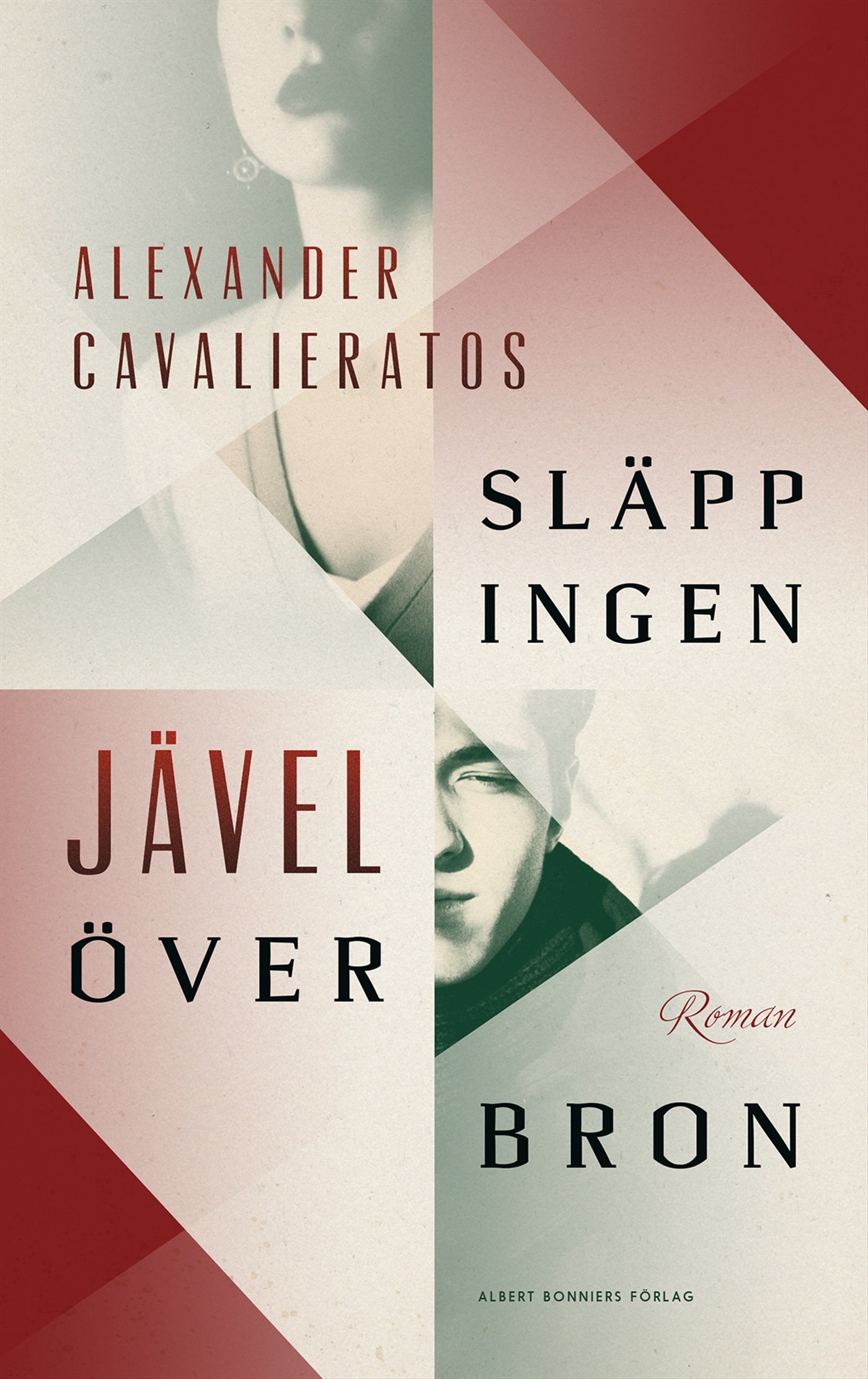 Släpp ingen jävel över bron – E-bok