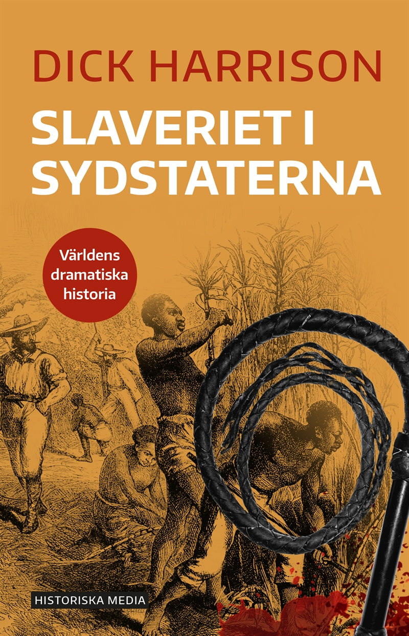 Slaveriet i sydstaterna – E-bok