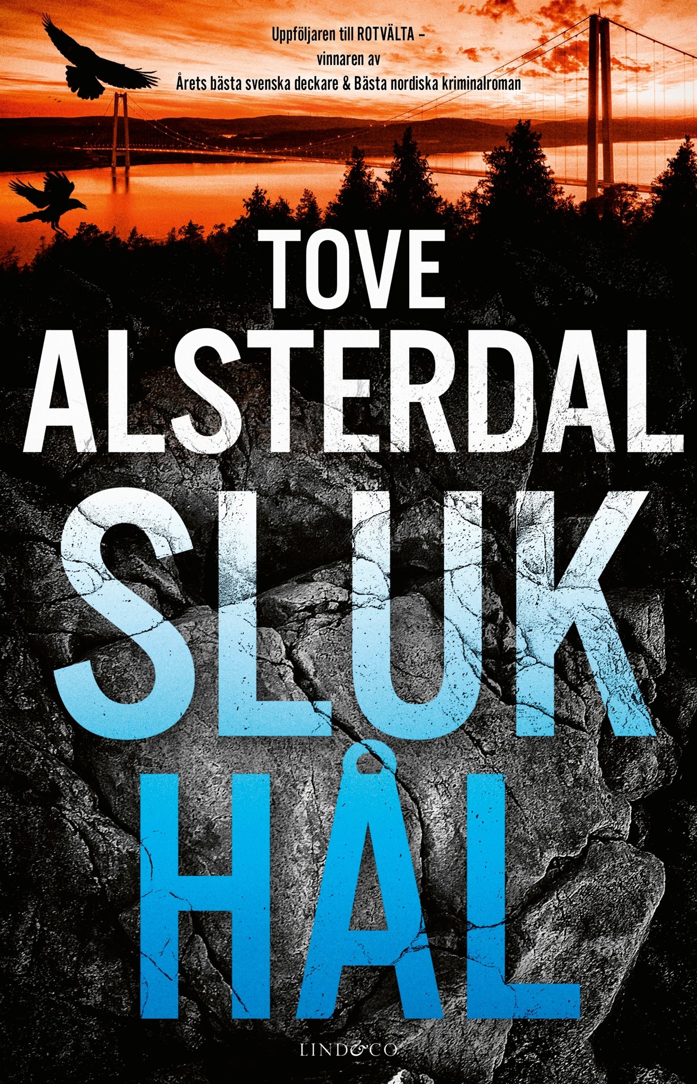 Slukhål – E-bok