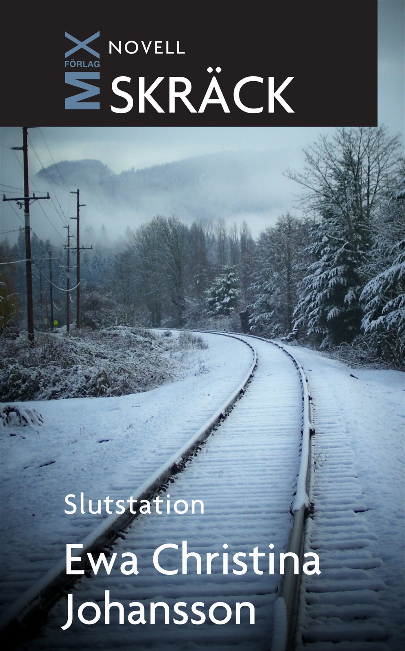 Slutstation – E-bok