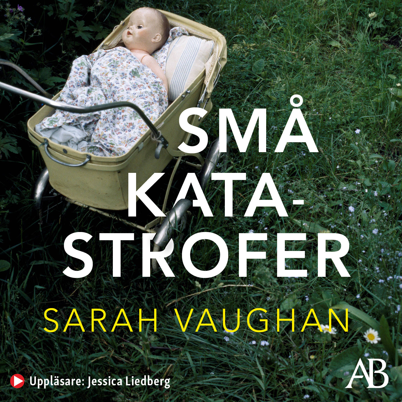 Små katastrofer – Ljudbok