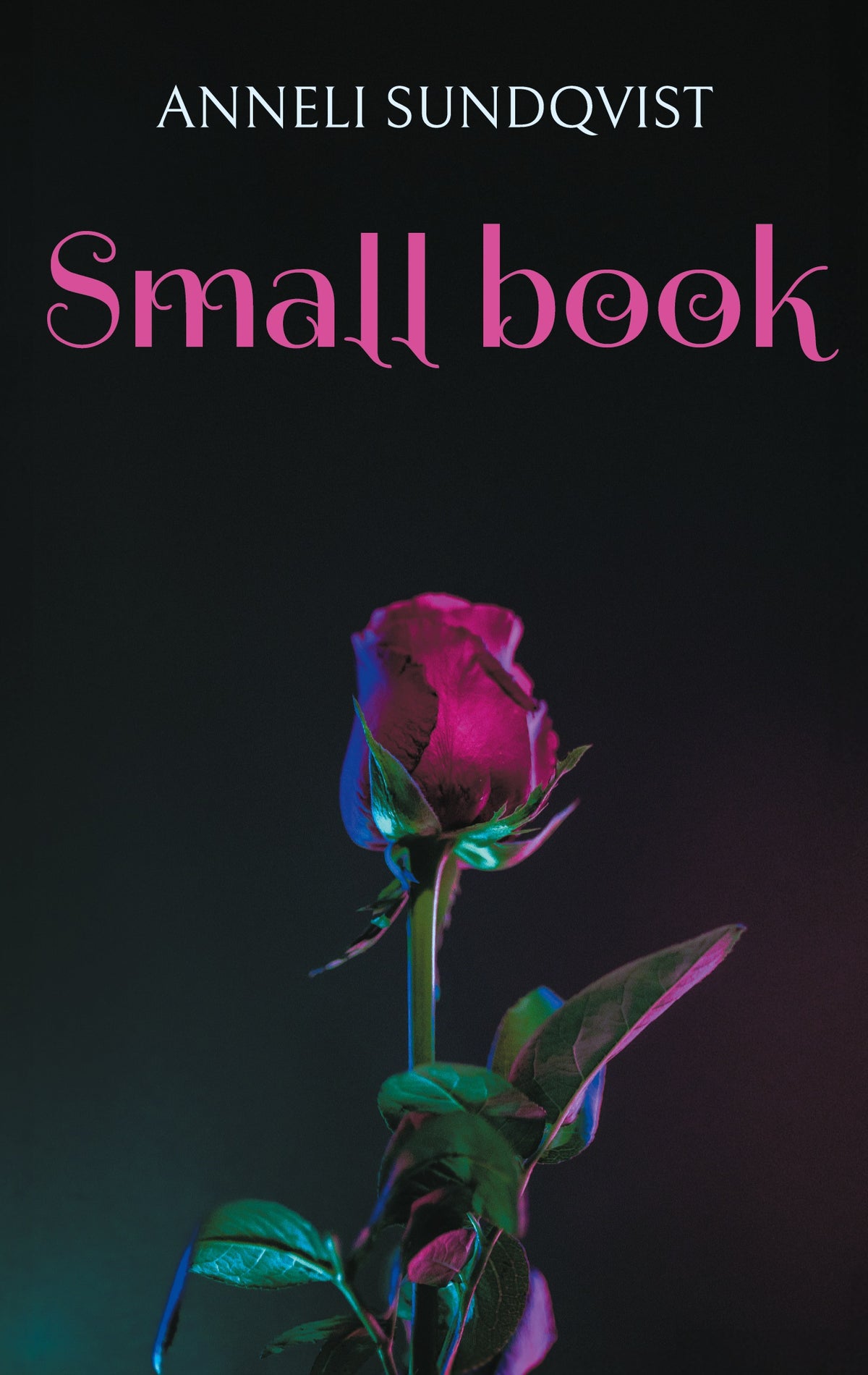 Small book: Little pieces – E-bok