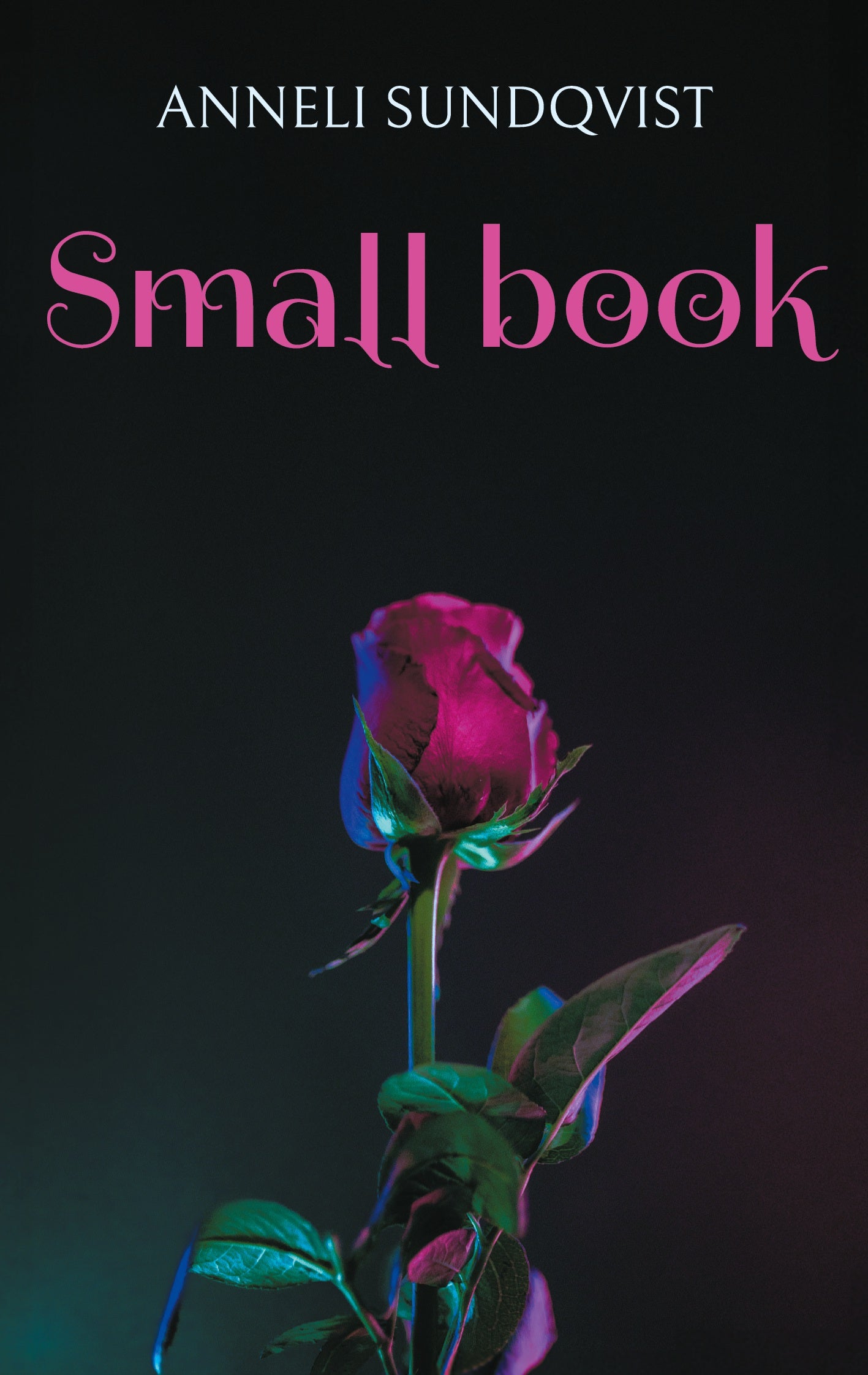 Small book: Little pieces – E-bok