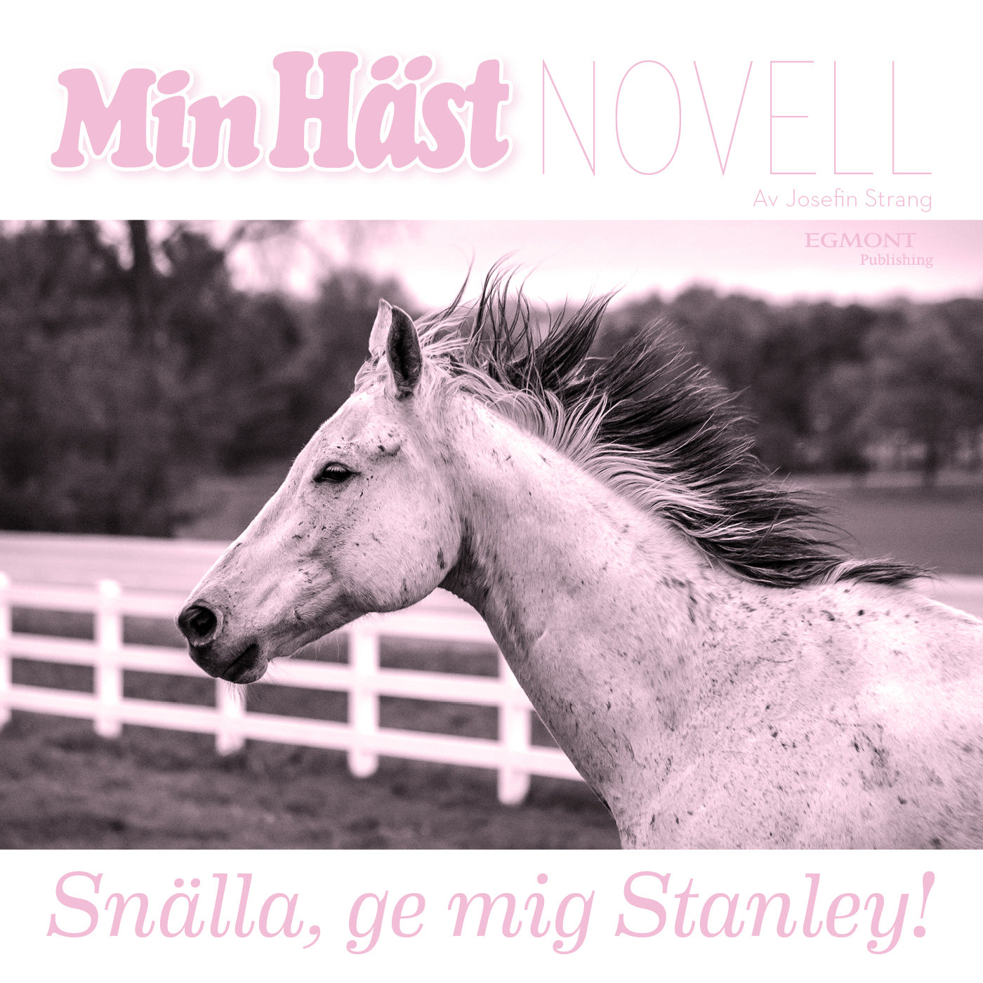 Snälla, ge mig Stanley! – Ljudbok