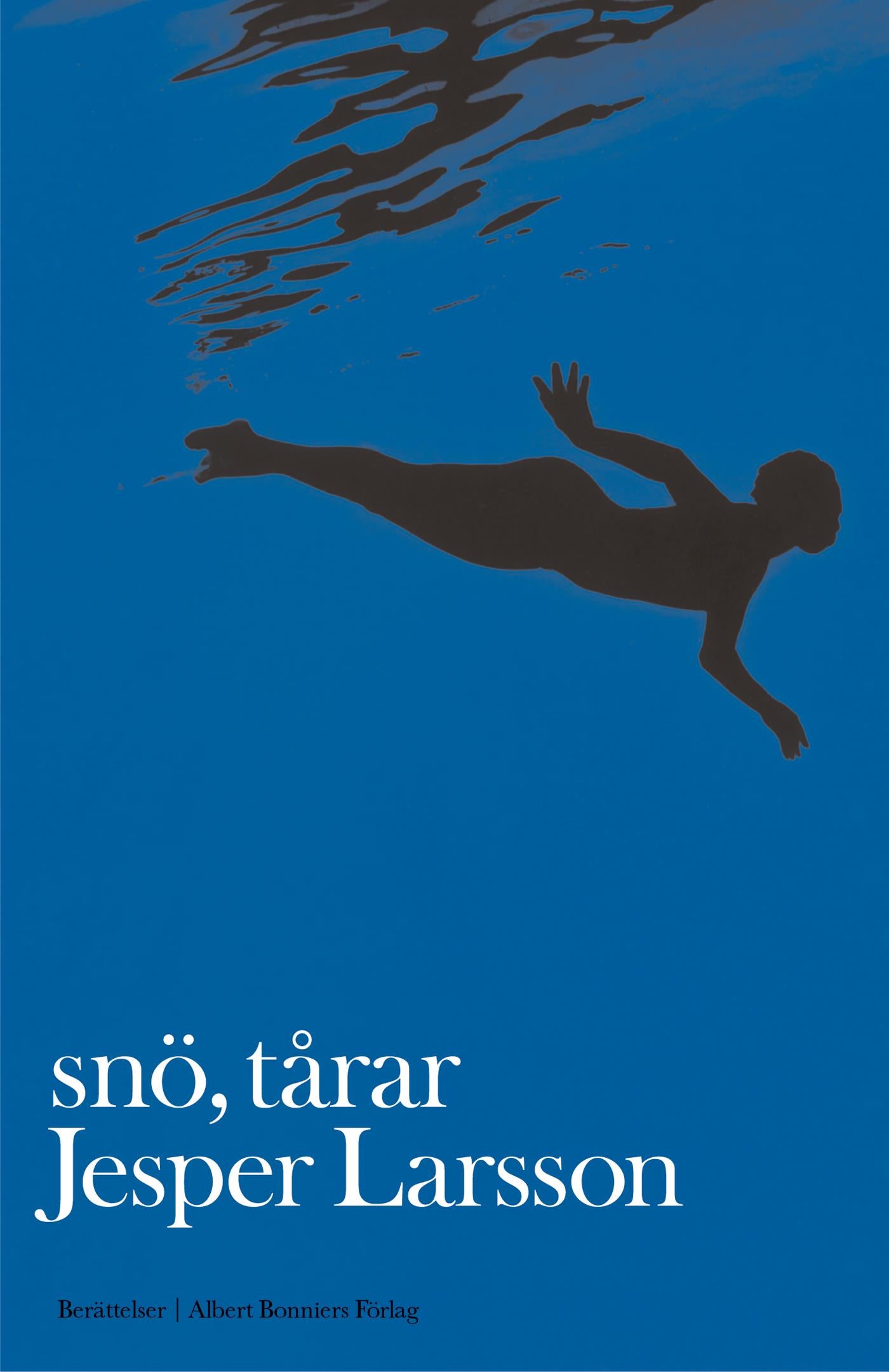Snö, tårar : berättelser – E-bok