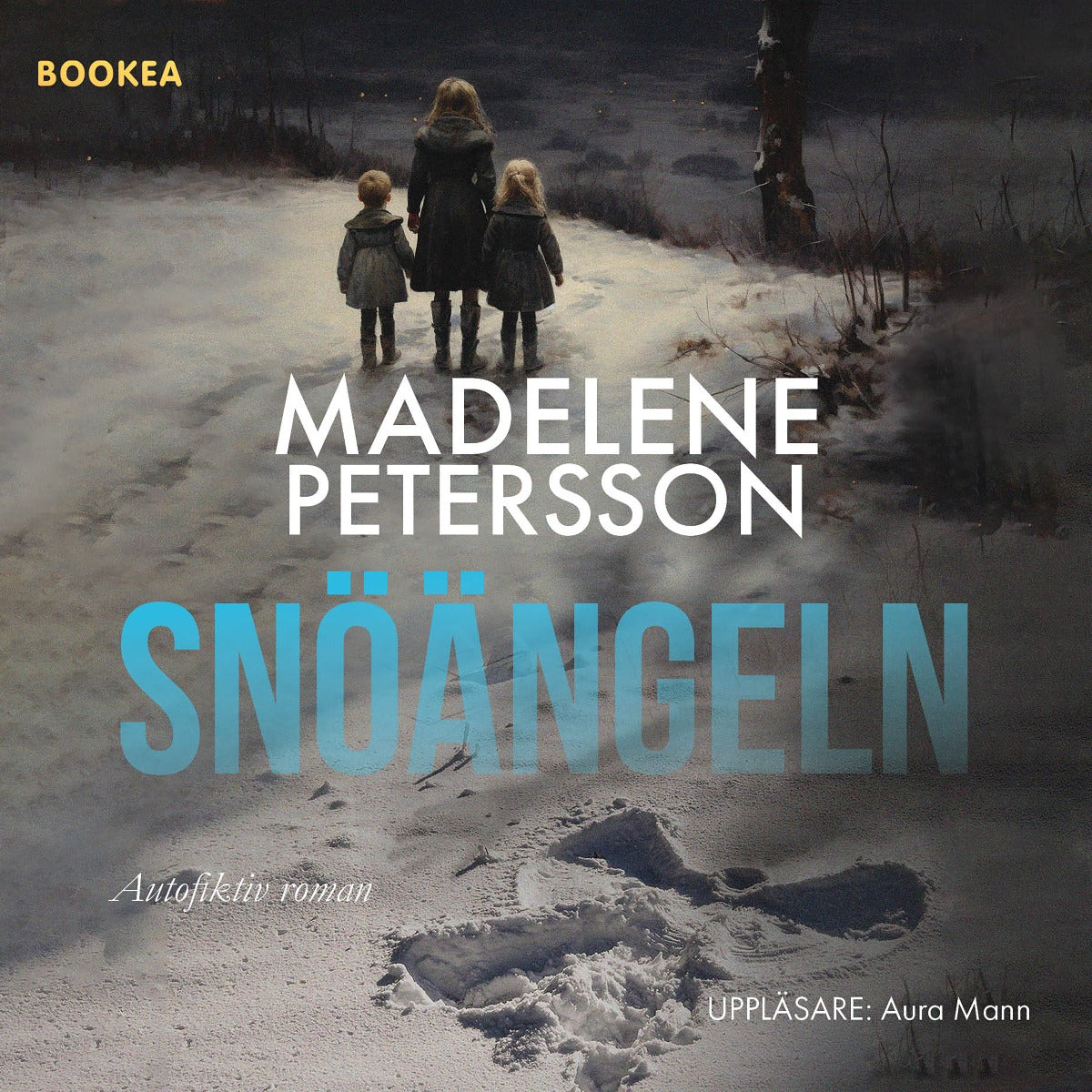 Snöängeln – Ljudbok