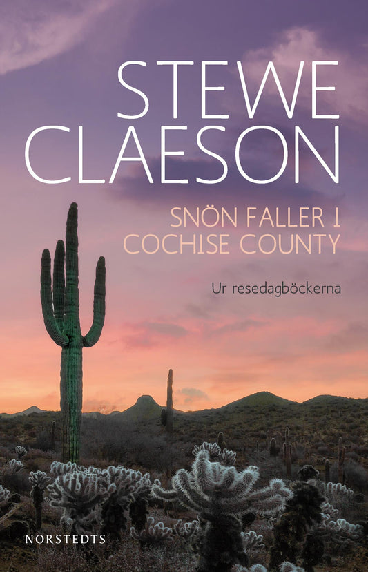 Snön faller i Cochise County : ur resedagböckerna – E-bok