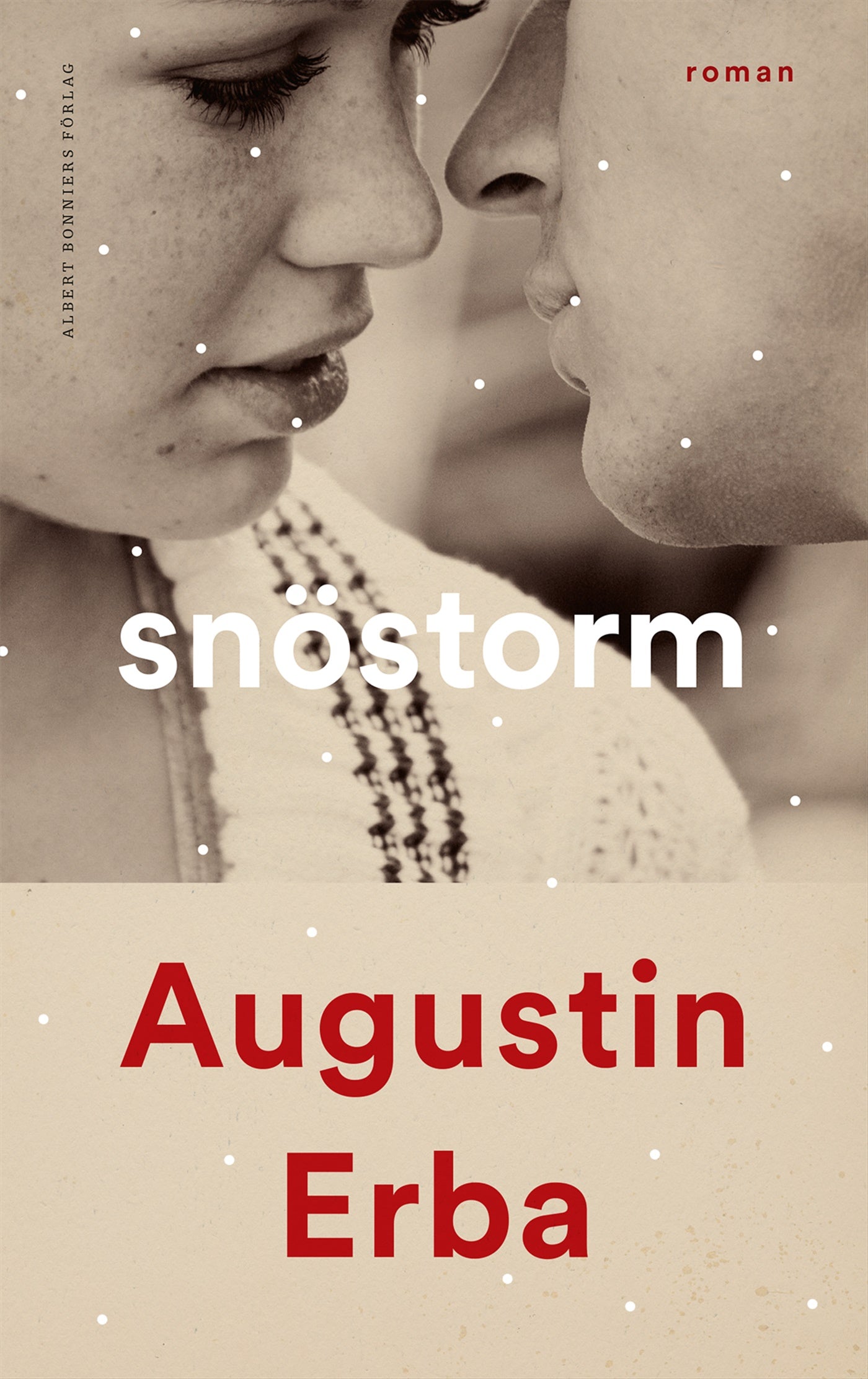 Snöstorm – E-bok