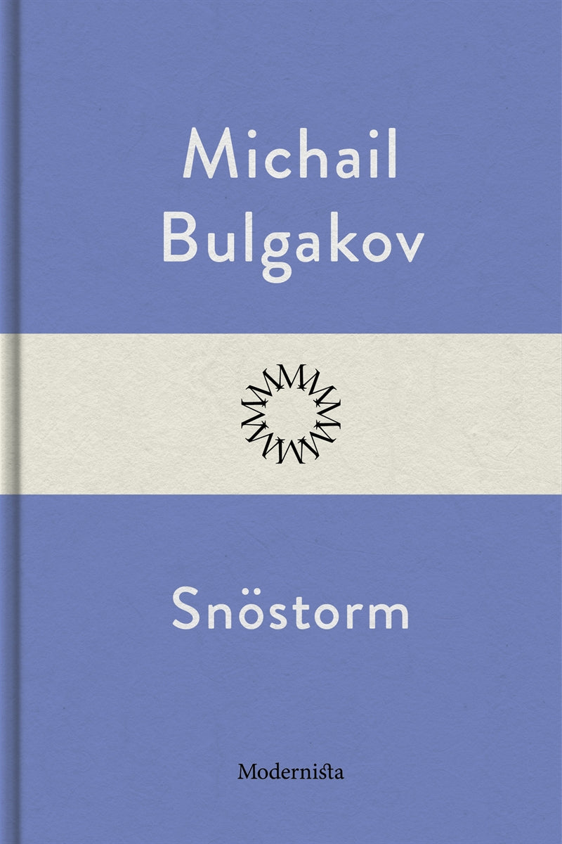 Snöstorm – E-bok