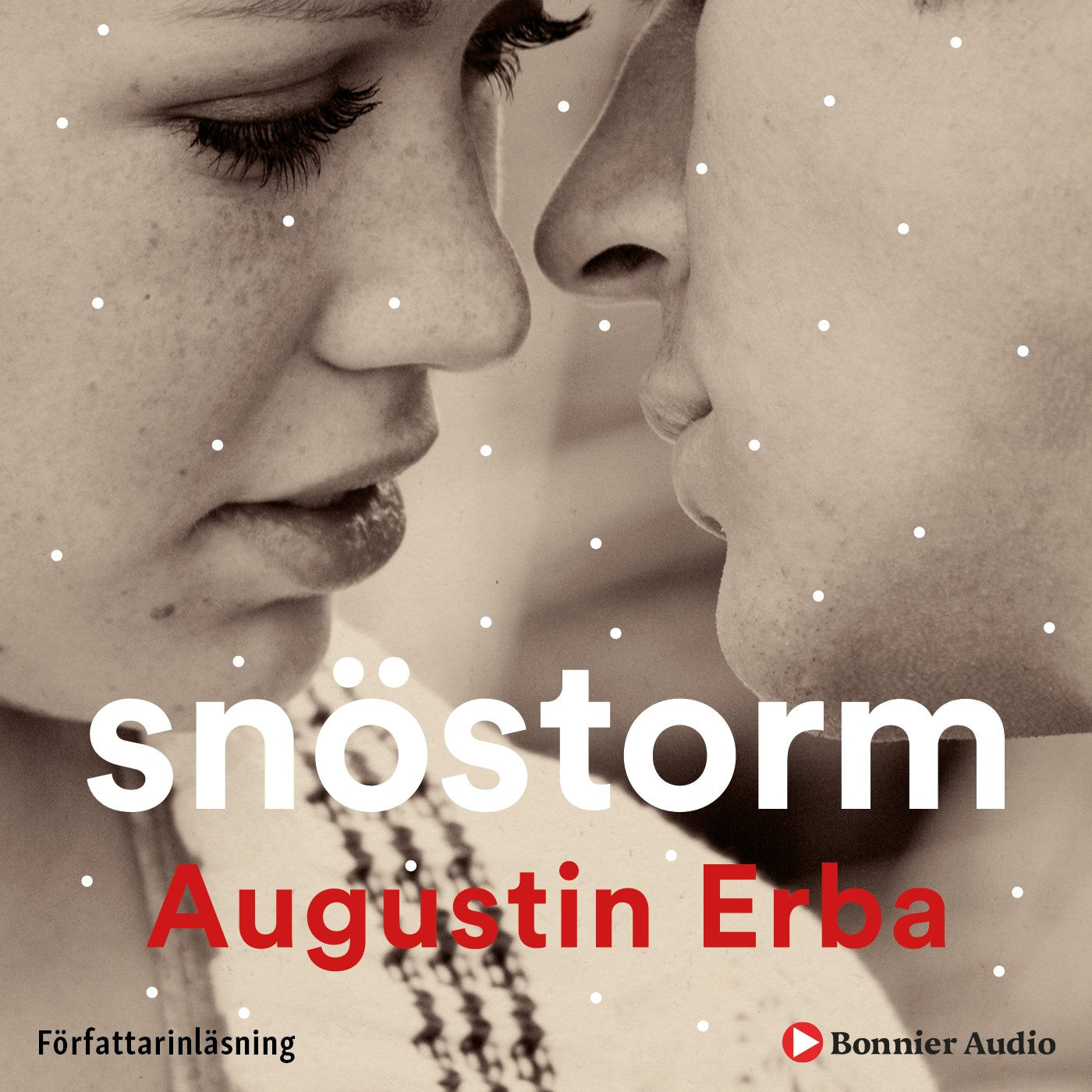 Snöstorm – Ljudbok