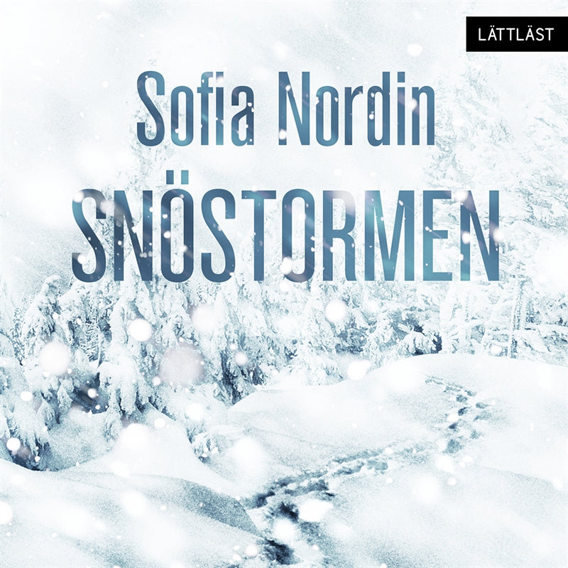 Snöstormen (lättläst) – Ljudbok