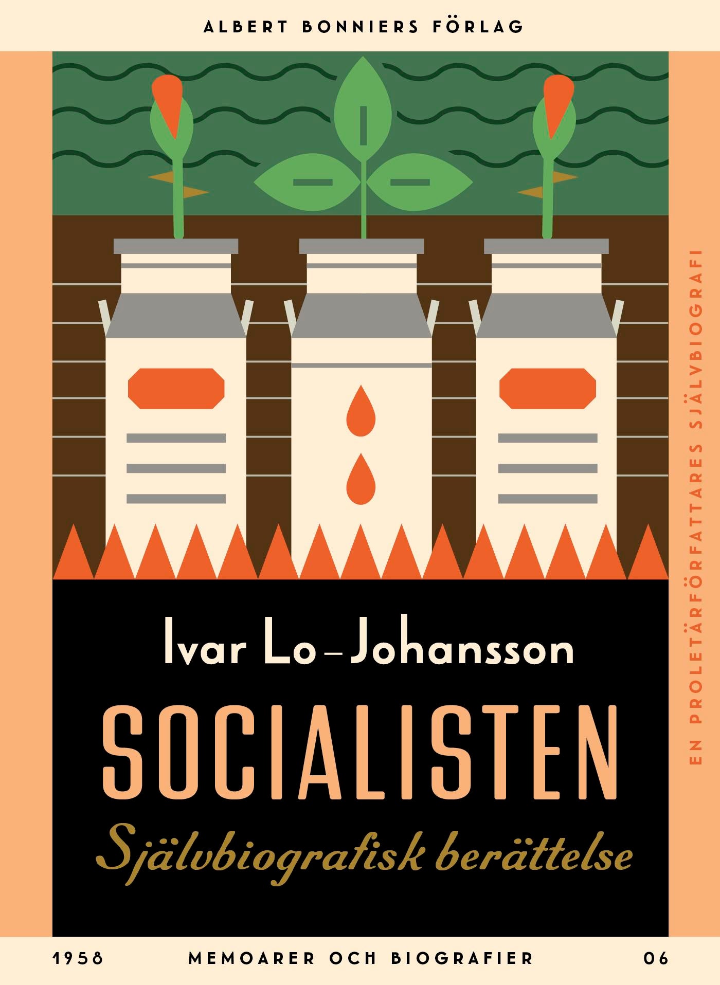 Socialisten – E-bok