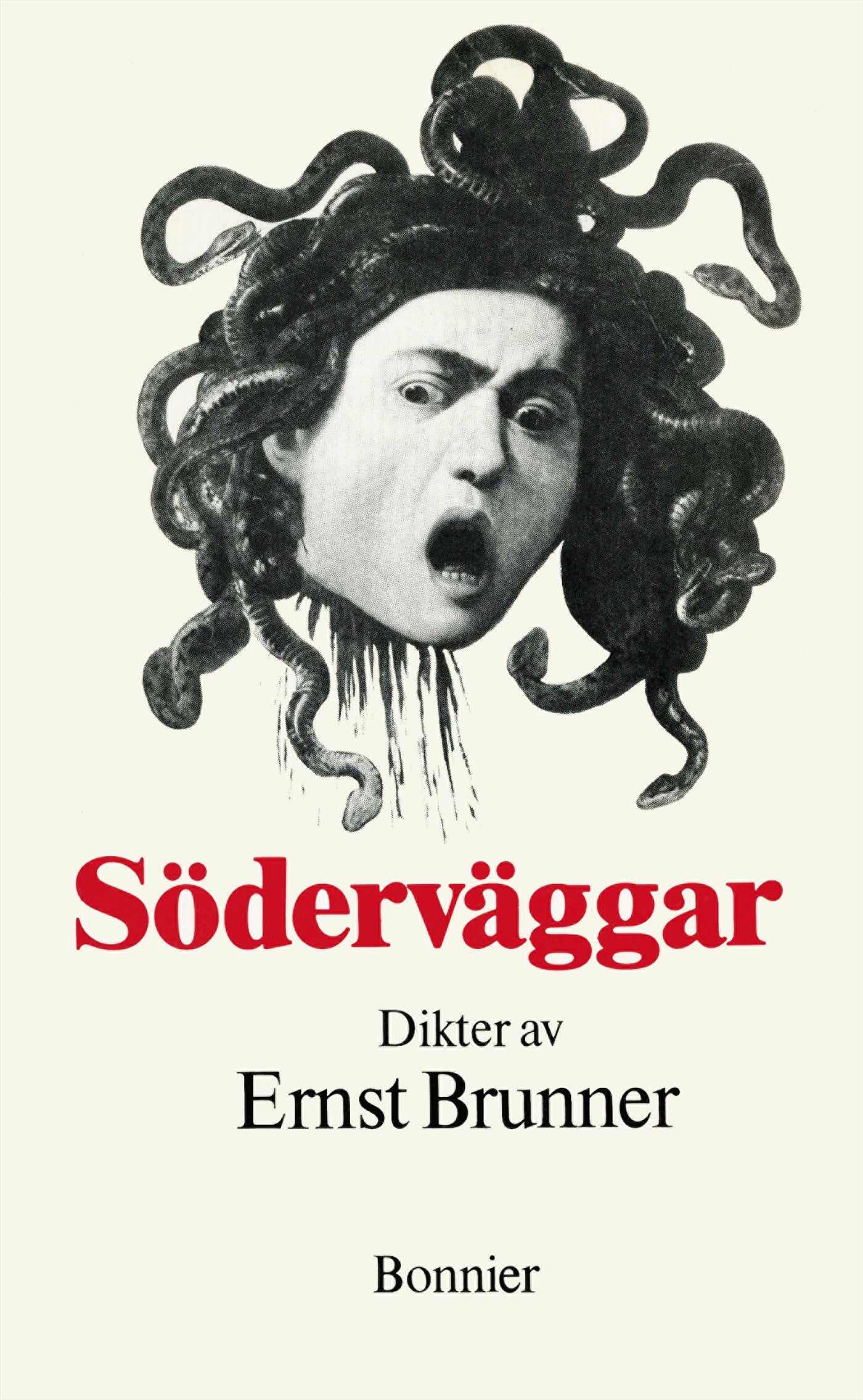 Söderväggar : Dikter – E-bok
