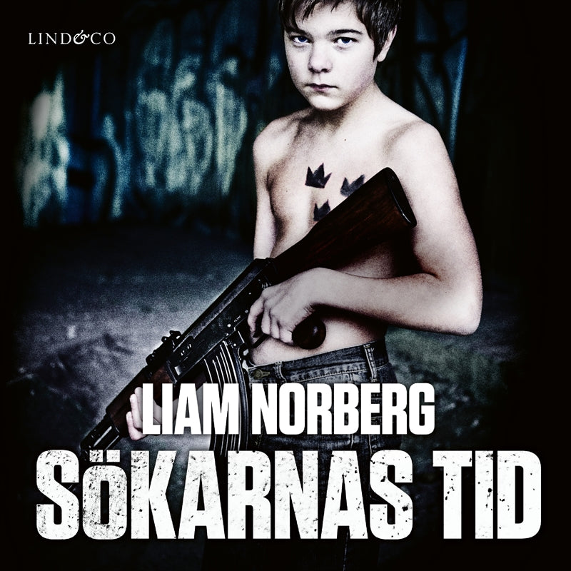 Sökarnas tid: Örnligan, nollpunkten, vägen ut – Ljudbok