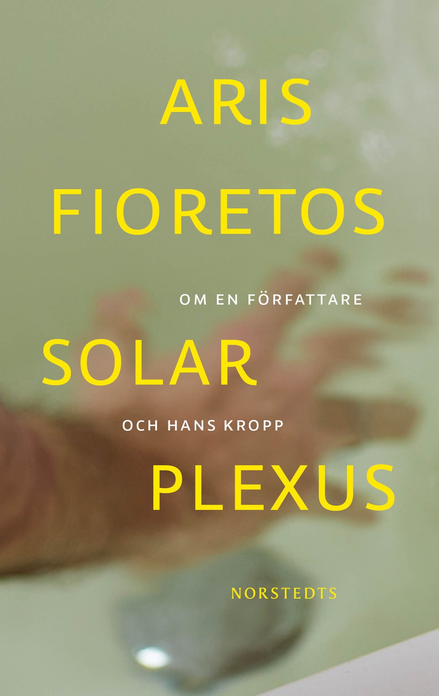 Solar plexus : om en författare och hans kropp – E-bok
