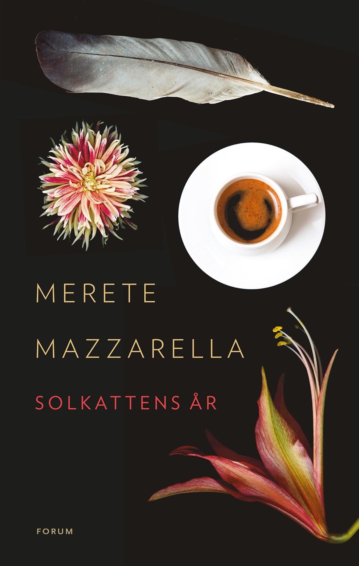 Solkattens år – E-bok