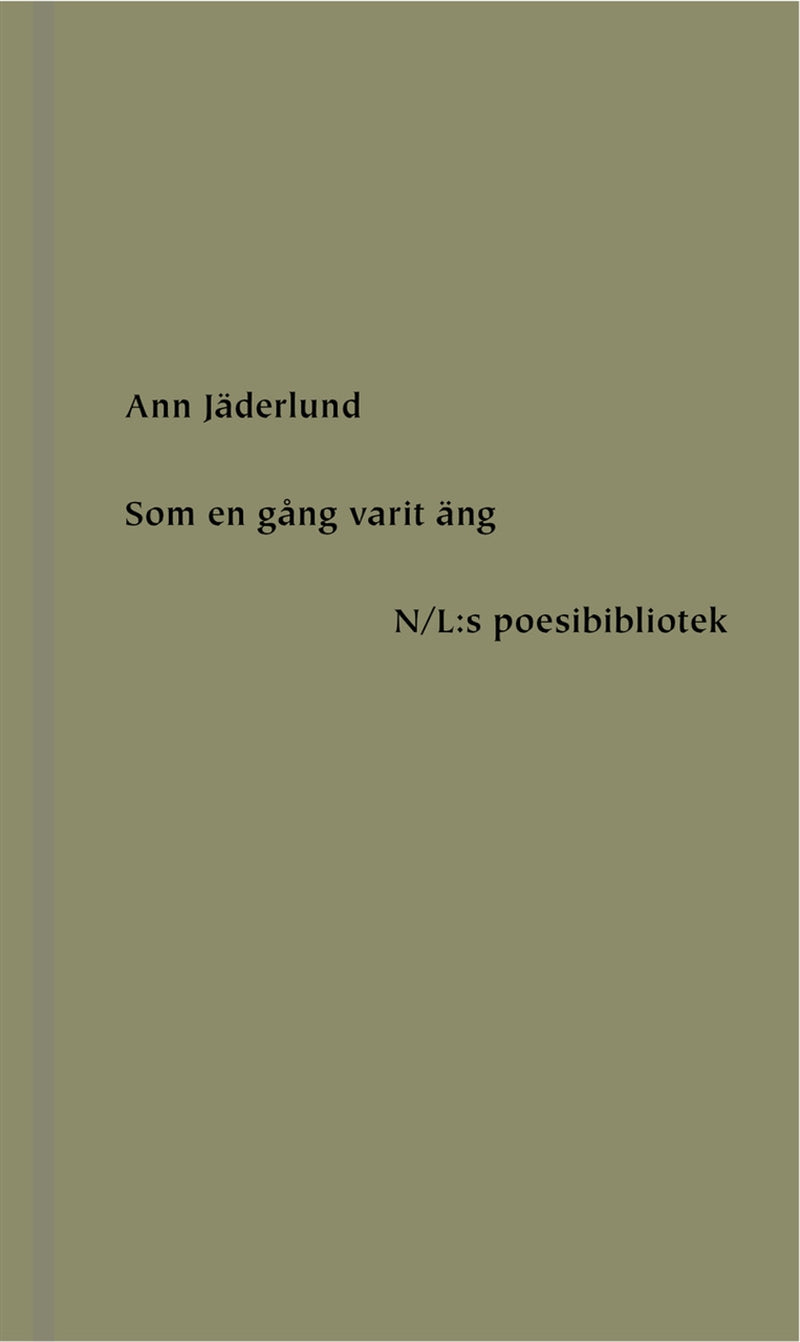 Som en gång varit äng – E-bok