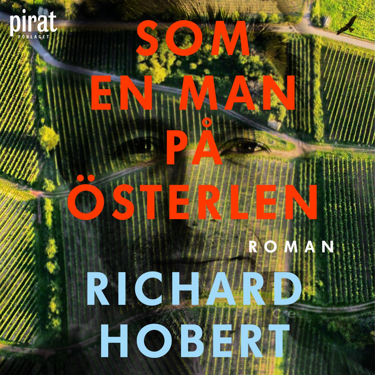 Som en man på Österlen – Ljudbok