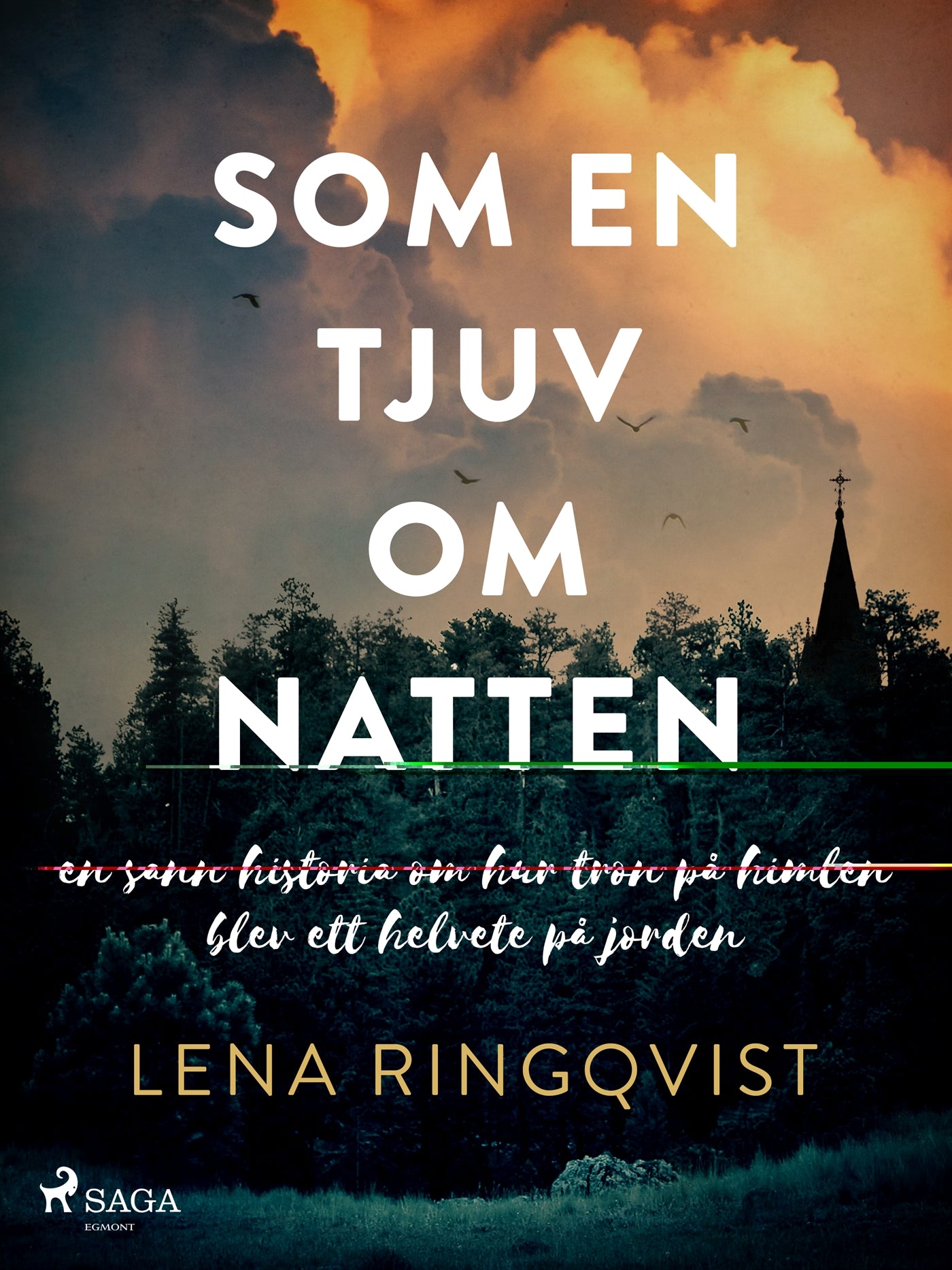 Som en tjuv om natten – E-bok