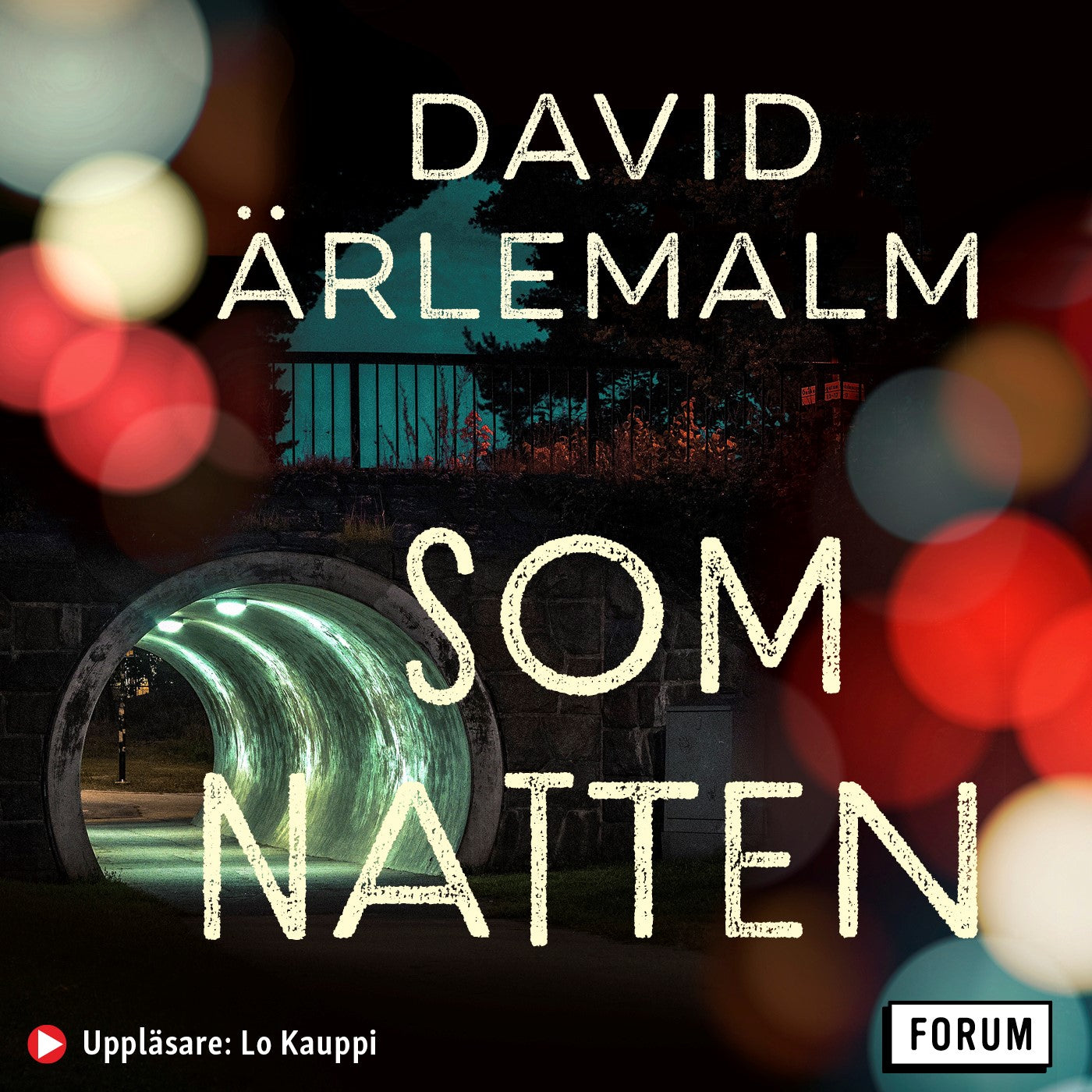 Som natten – Ljudbok