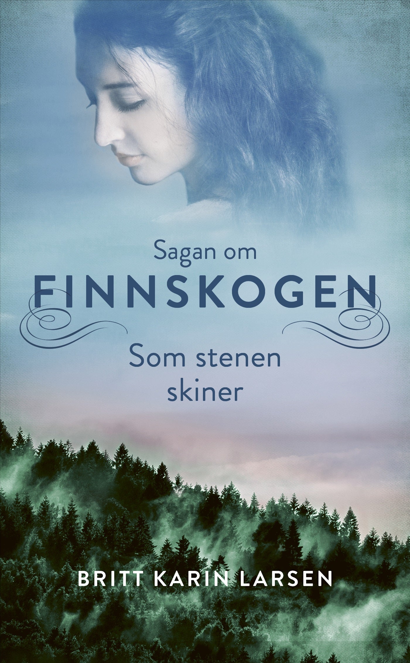 Som stenen skiner – E-bok