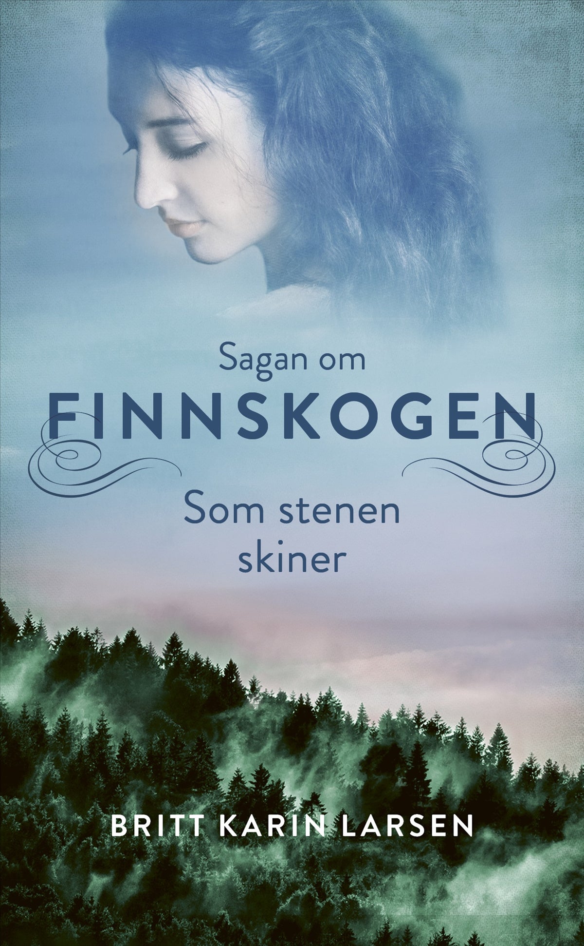 Som stenen skiner – E-bok
