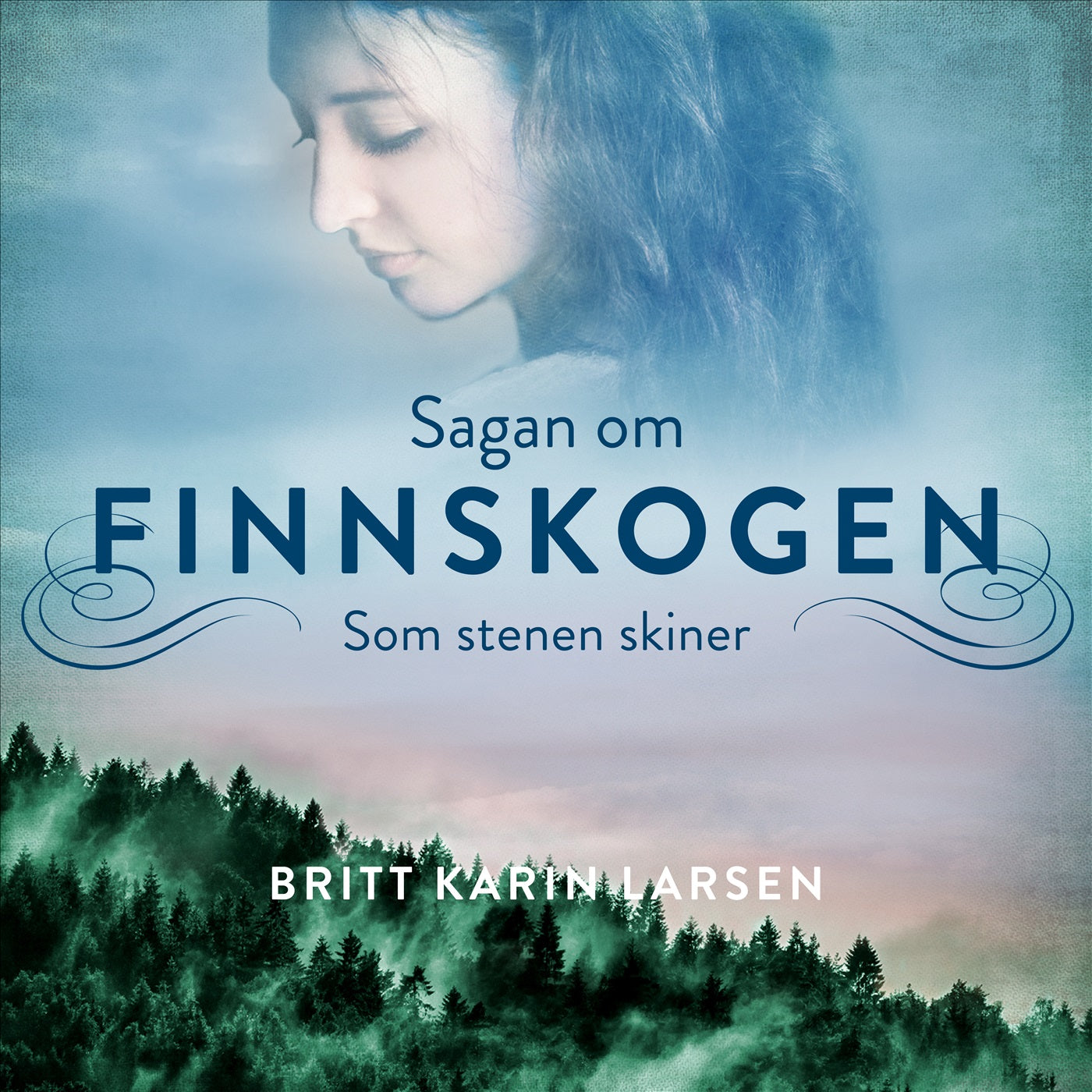 Som stenen skiner – Ljudbok