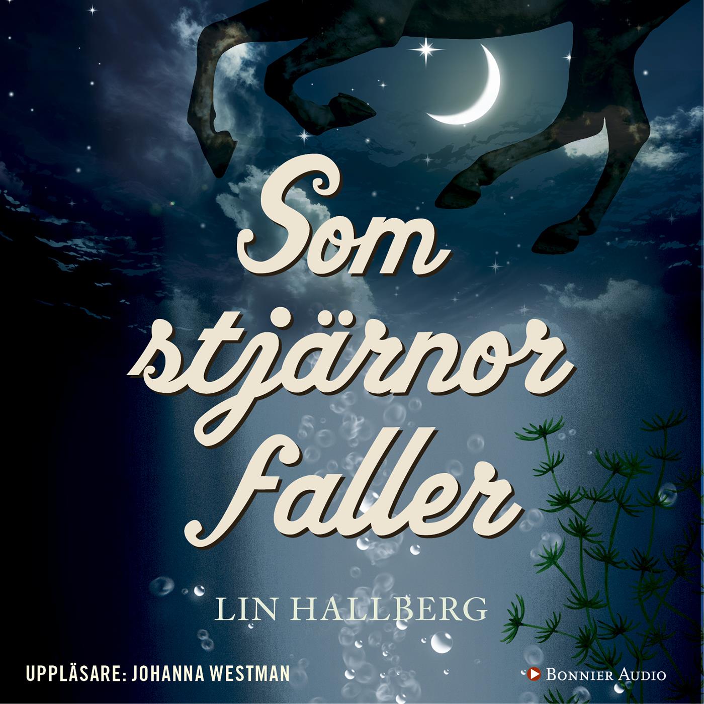 Som stjärnor faller – Ljudbok