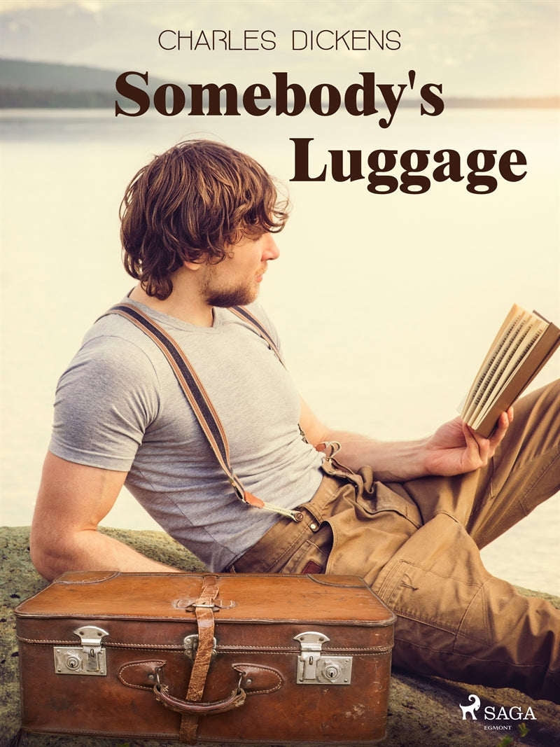 Somebody's Luggage – E-bok