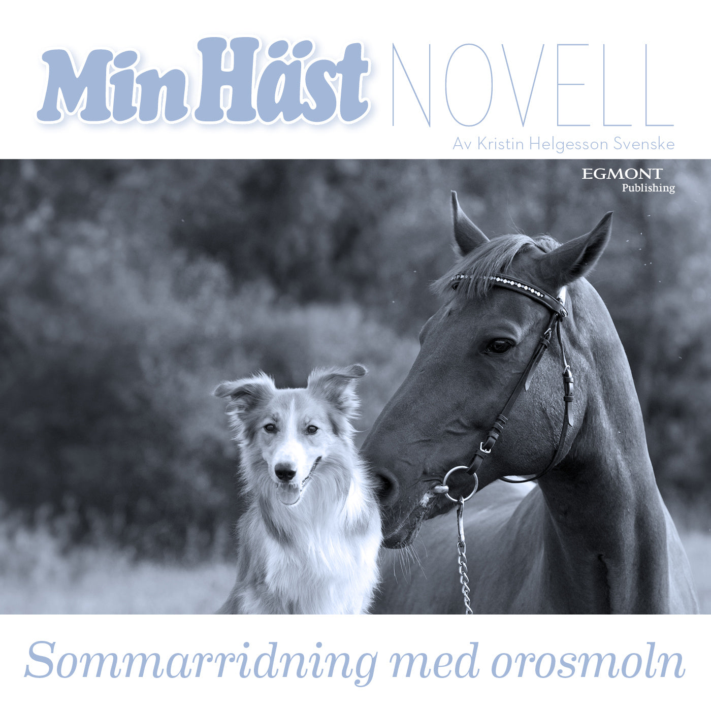 Sommarridning med orosmoln – Ljudbok