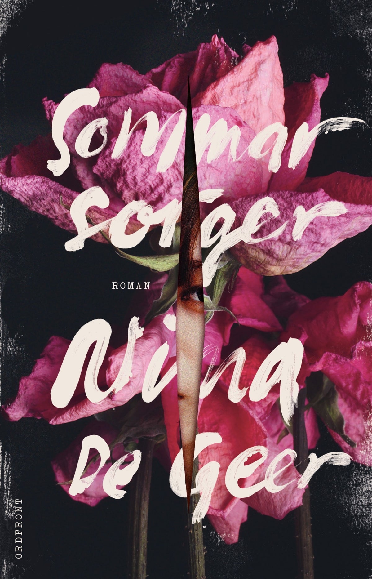 Sommarsorger – E-bok