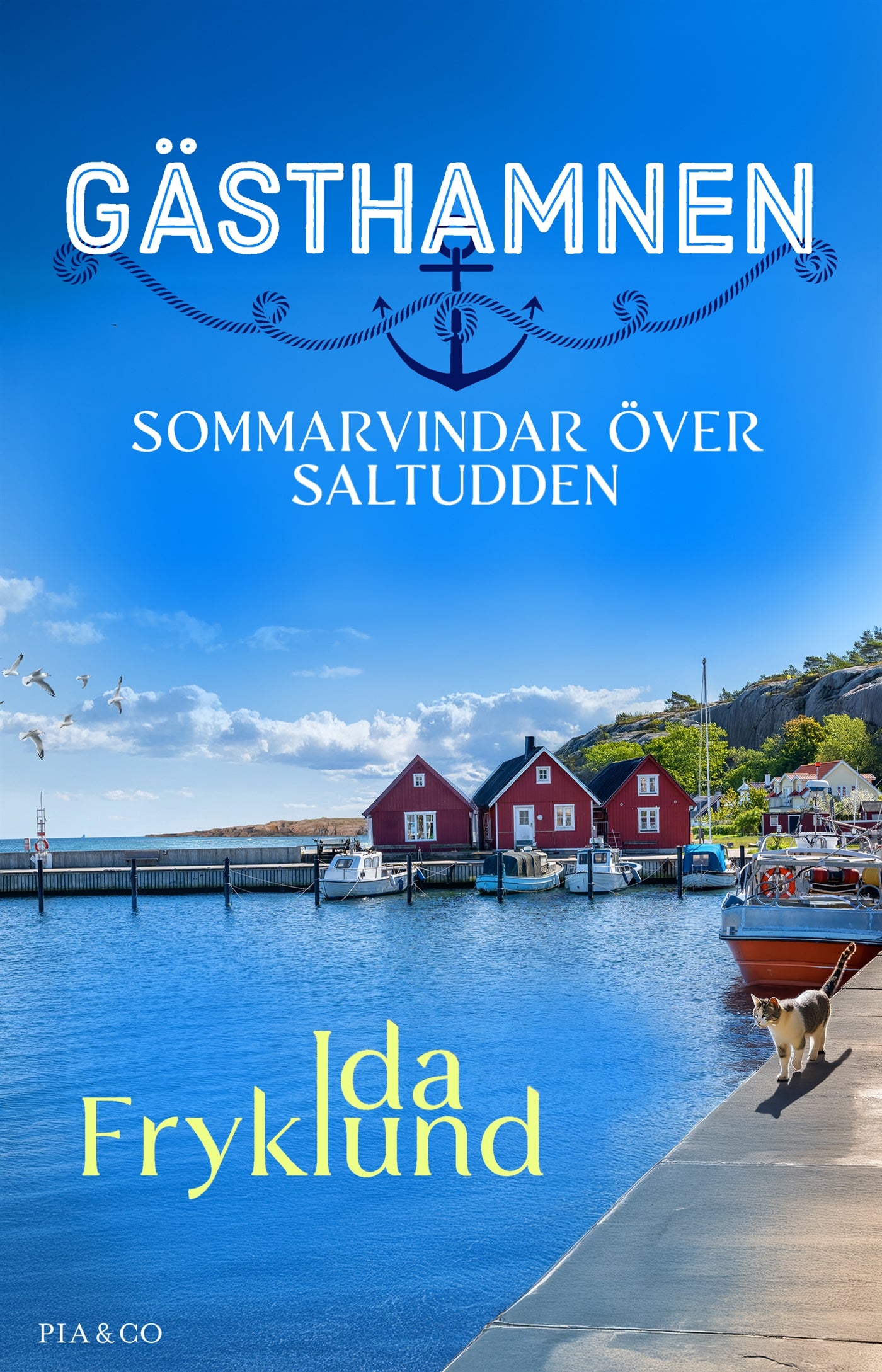 Sommarvindar över Saltudden – E-bok