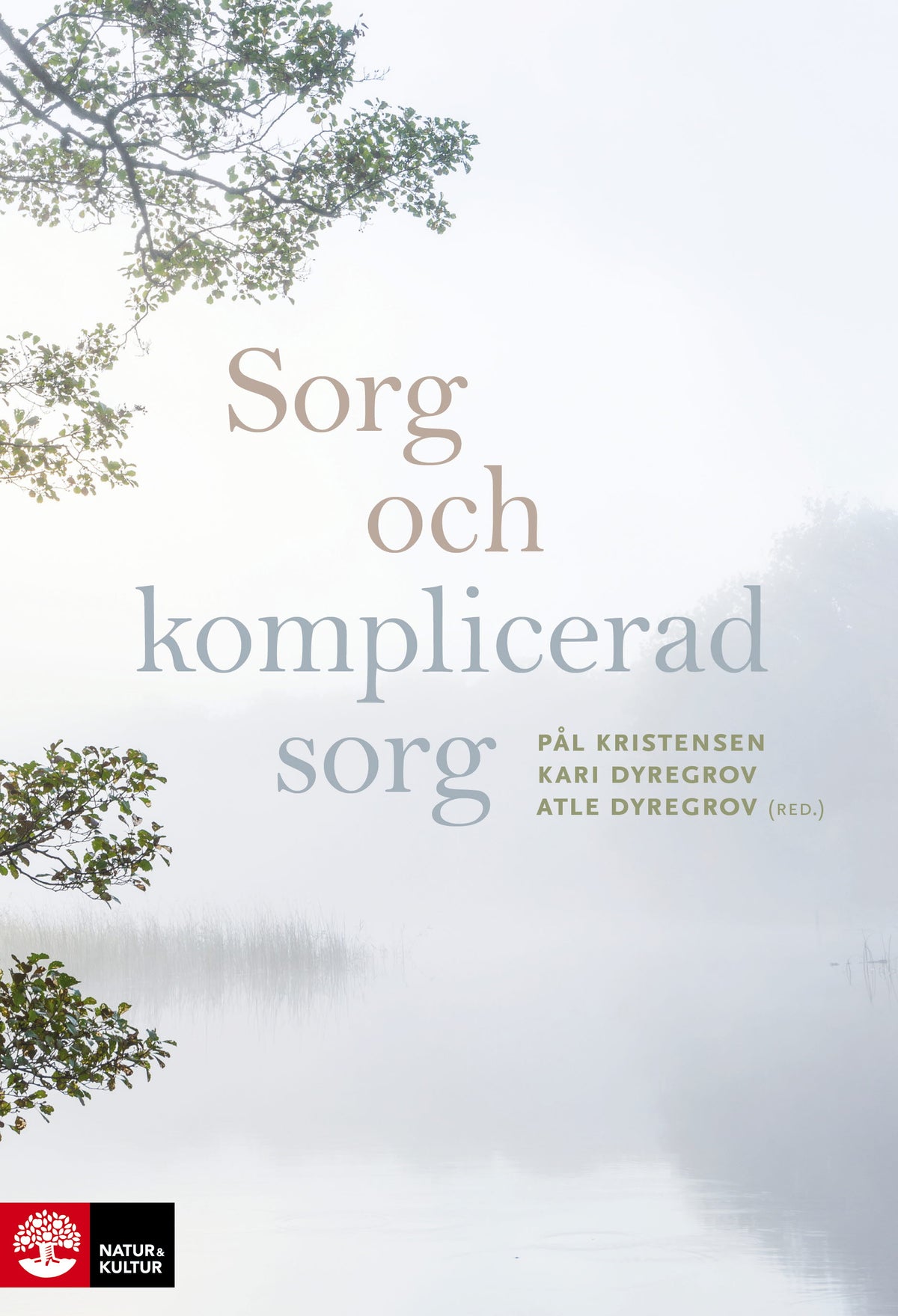 Sorg och komplicerad sorg – E-bok
