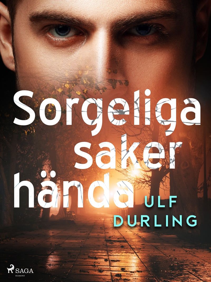 Sorgeliga saker hända – E-bok