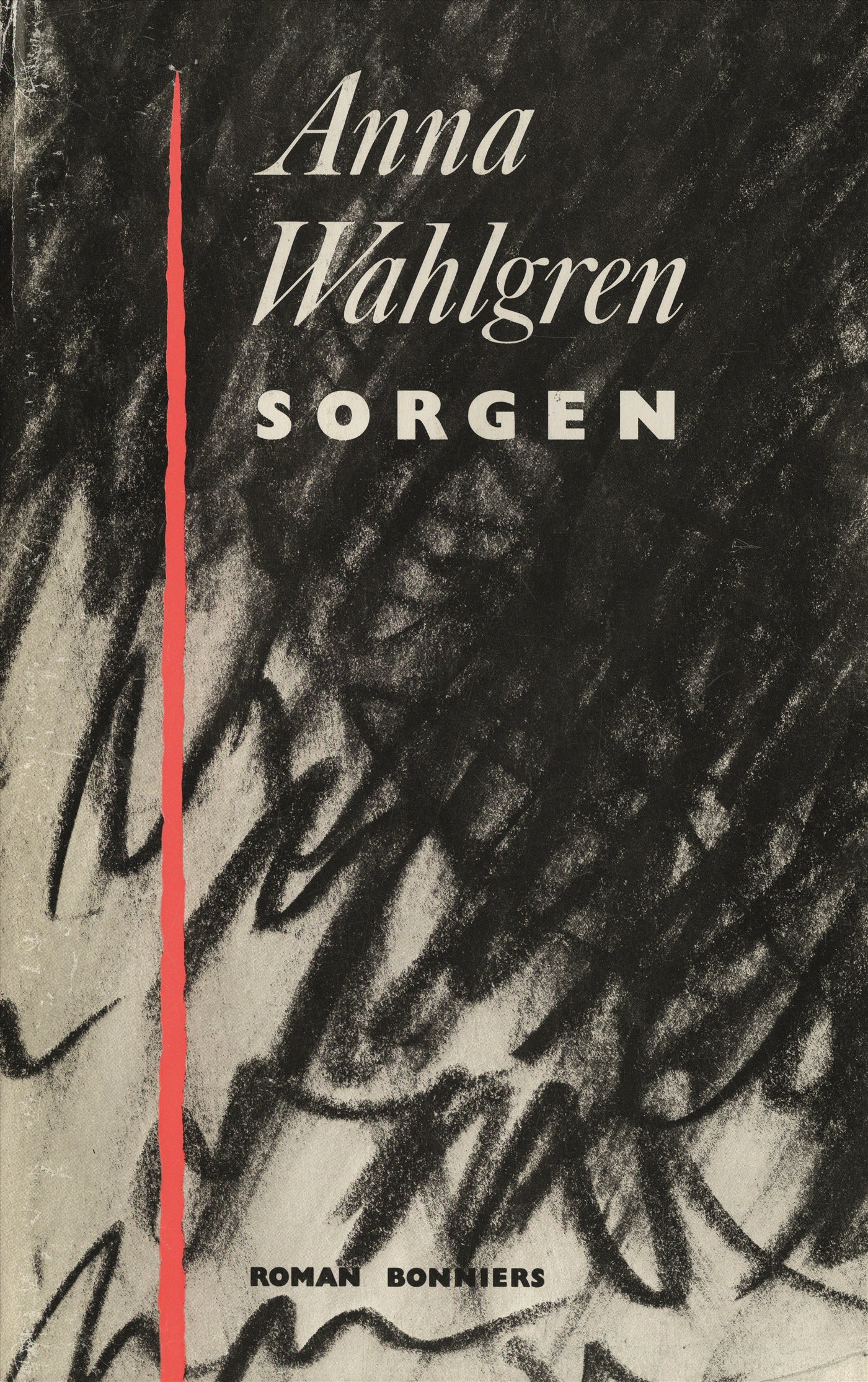Sorgen – E-bok