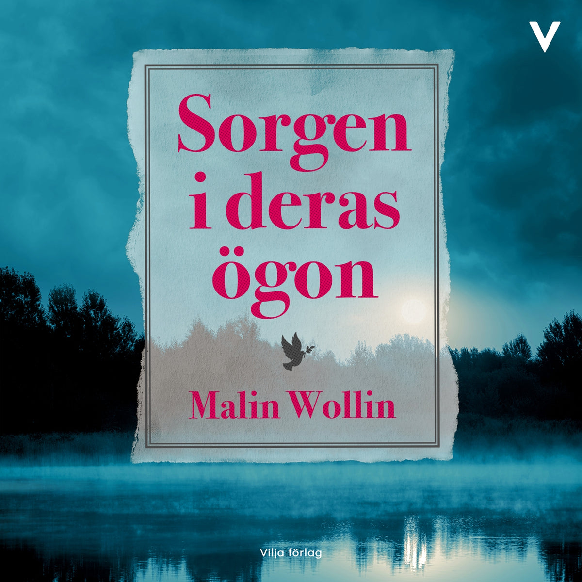 Sorgen i deras ögon – Ljudbok