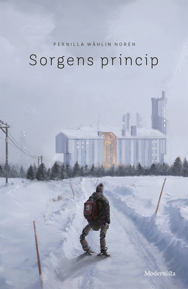 Sorgens princip – E-bok