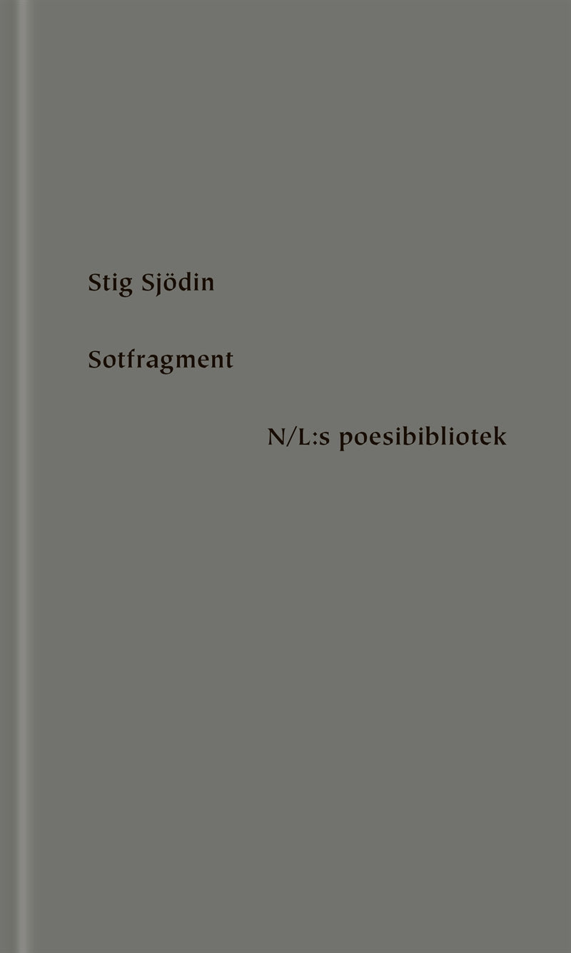 Sotfragment – E-bok