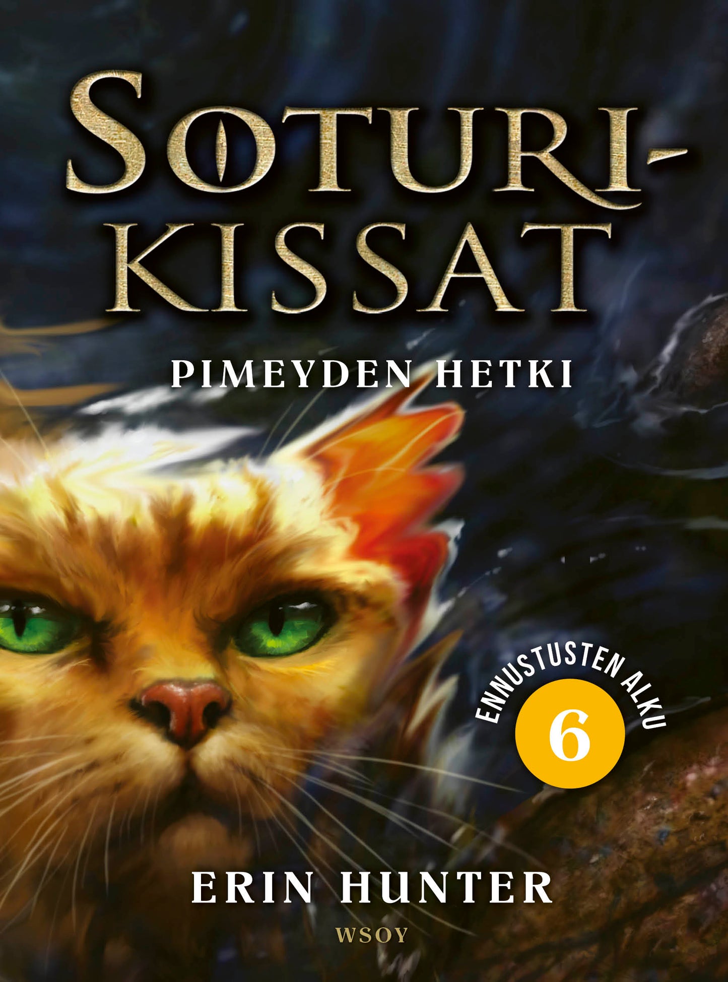 Soturikissat: Ennustusten alku 6: Pimeyden hetki – E-bok