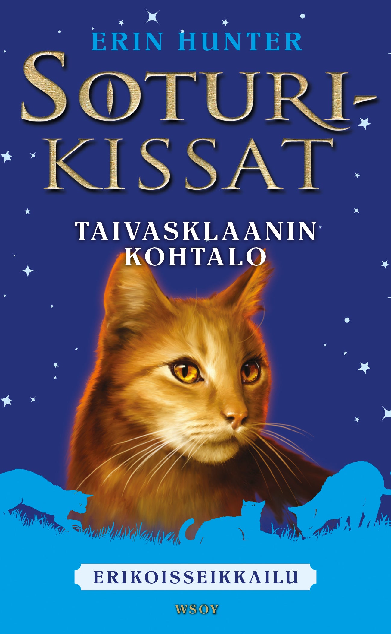 Soturikissat: Erikoisseikkailu: Taivasklaanin kohtalo – E-bok
