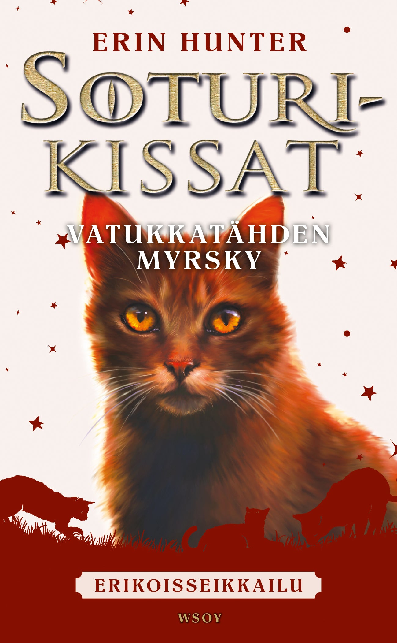 Soturikissat: Erikoisseikkailu: Vatukkatähden myrsky – E-bok