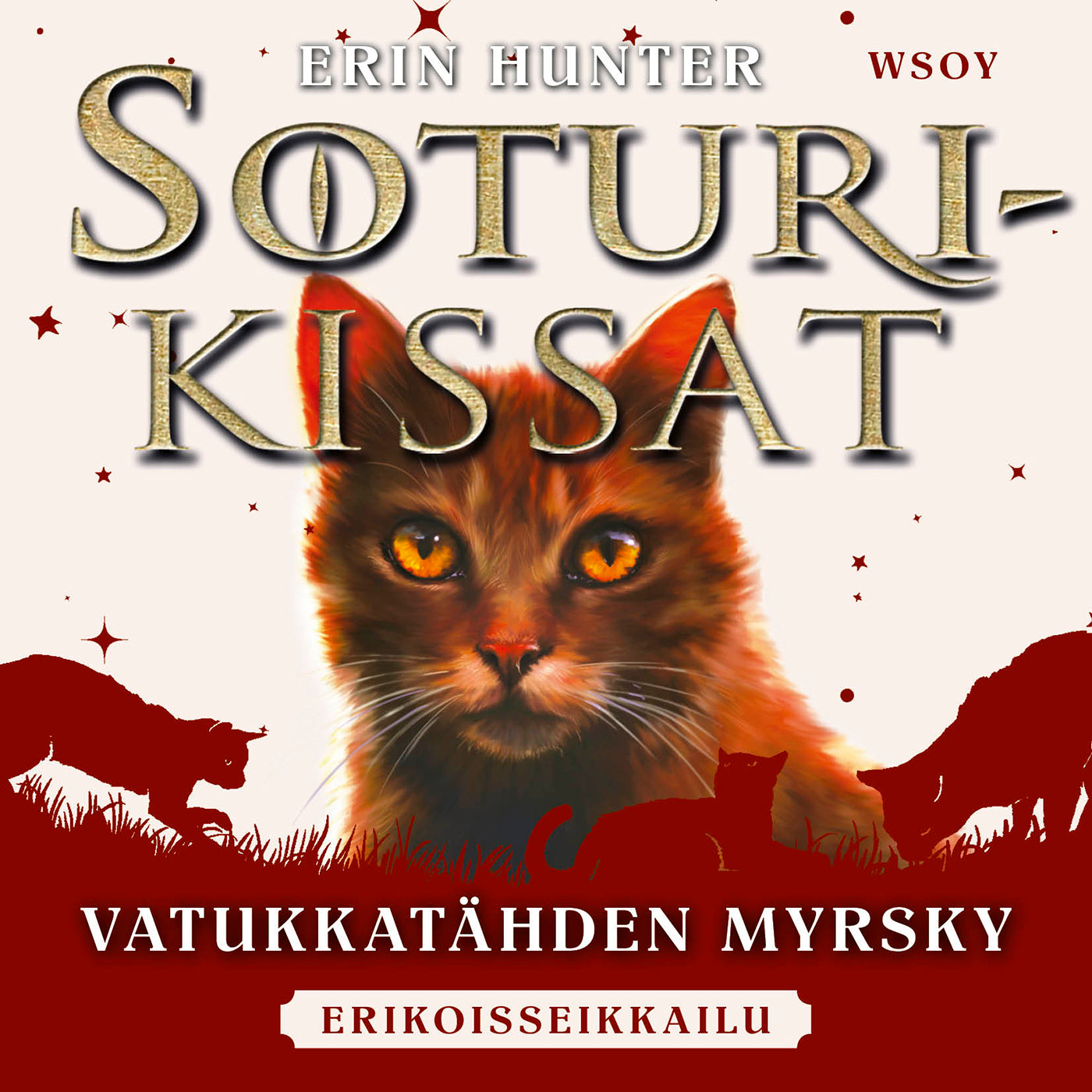 Soturikissat: Erikoisseikkailu: Vatukkatähden myrsky – Ljudbok